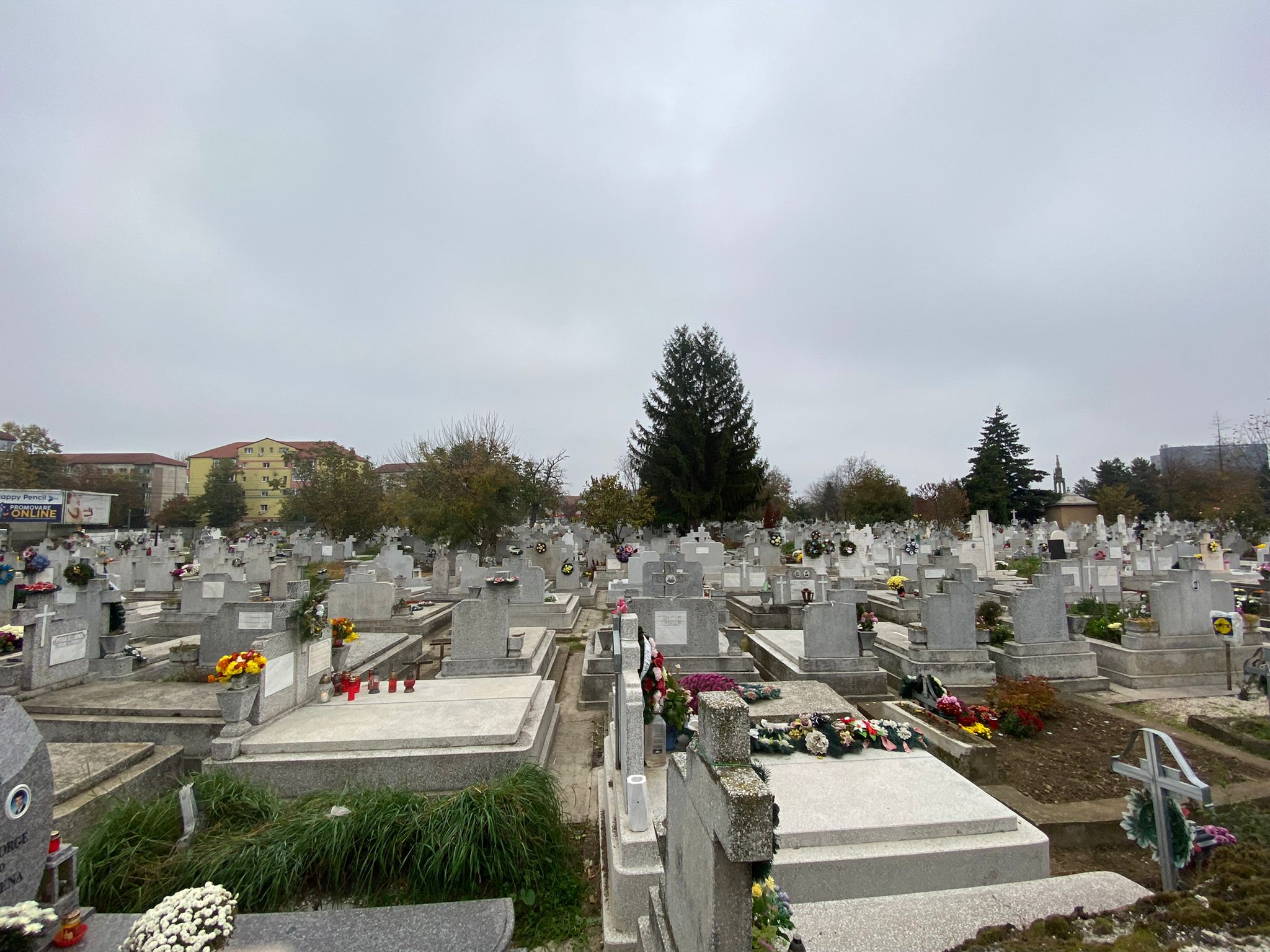 cimitire timisoara ziua mortilor (3)