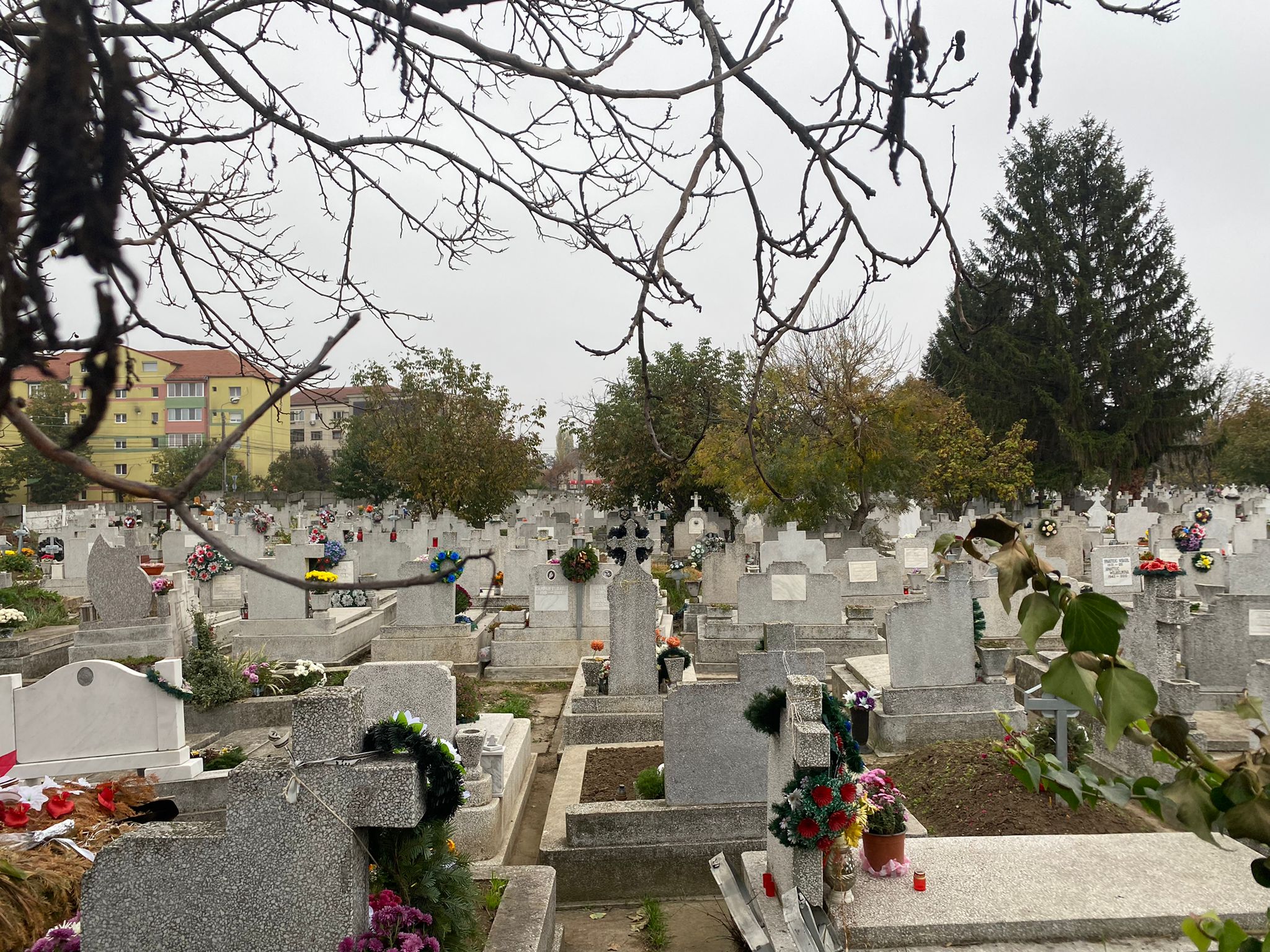 cimitire timisoara ziua mortilor (4)