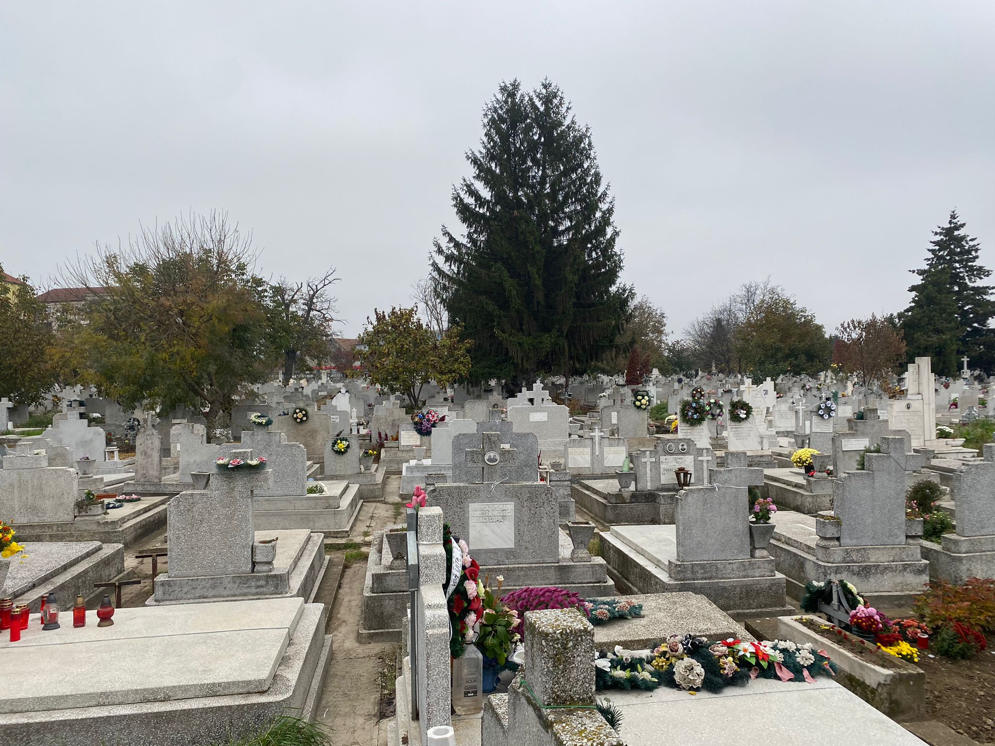 cimitire timisoara ziua mortilor (6)