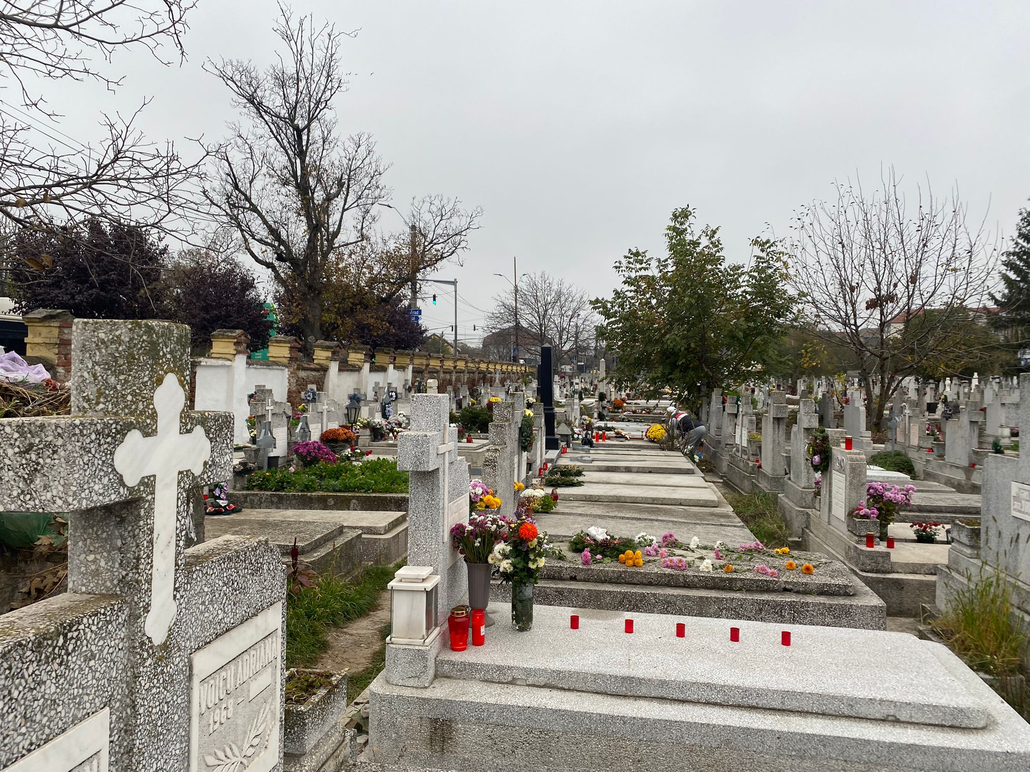 cimitire timisoara ziua mortilor (10)
