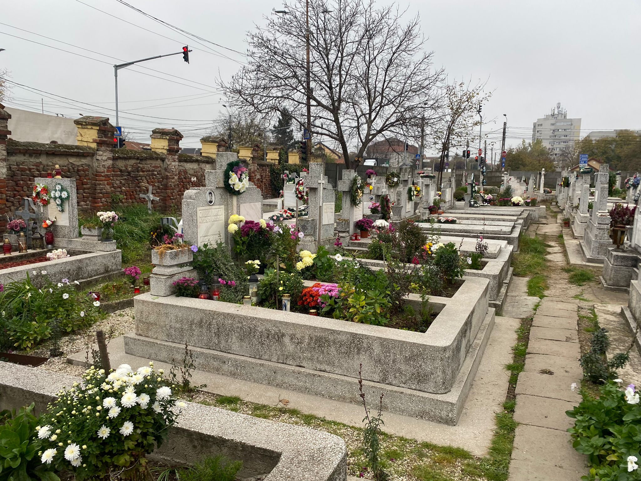 cimitire timisoara ziua mortilor (18)