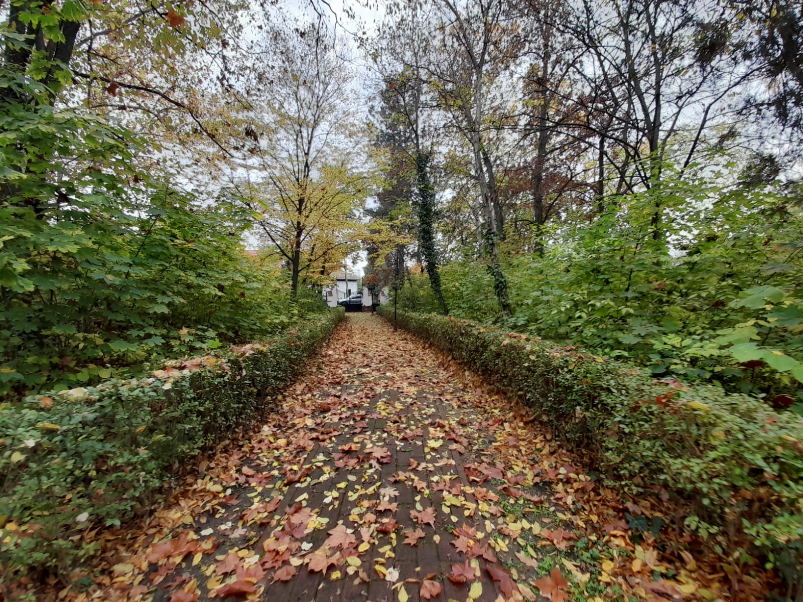 uzina apa aquapic (1)