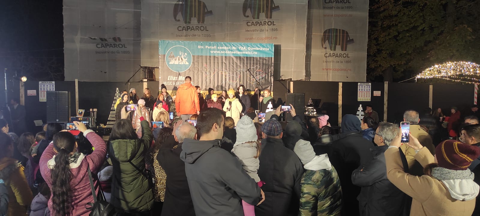 parc craciun dumbravita (3)