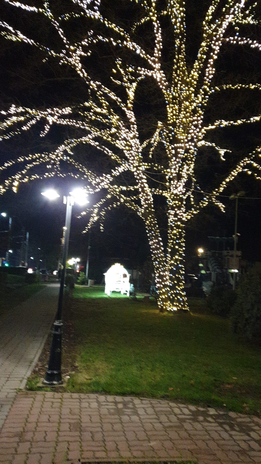 parc craciun dumbravita (6)