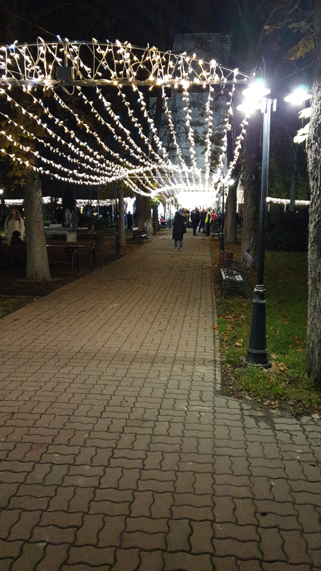 parc craciun dumbravita (7)