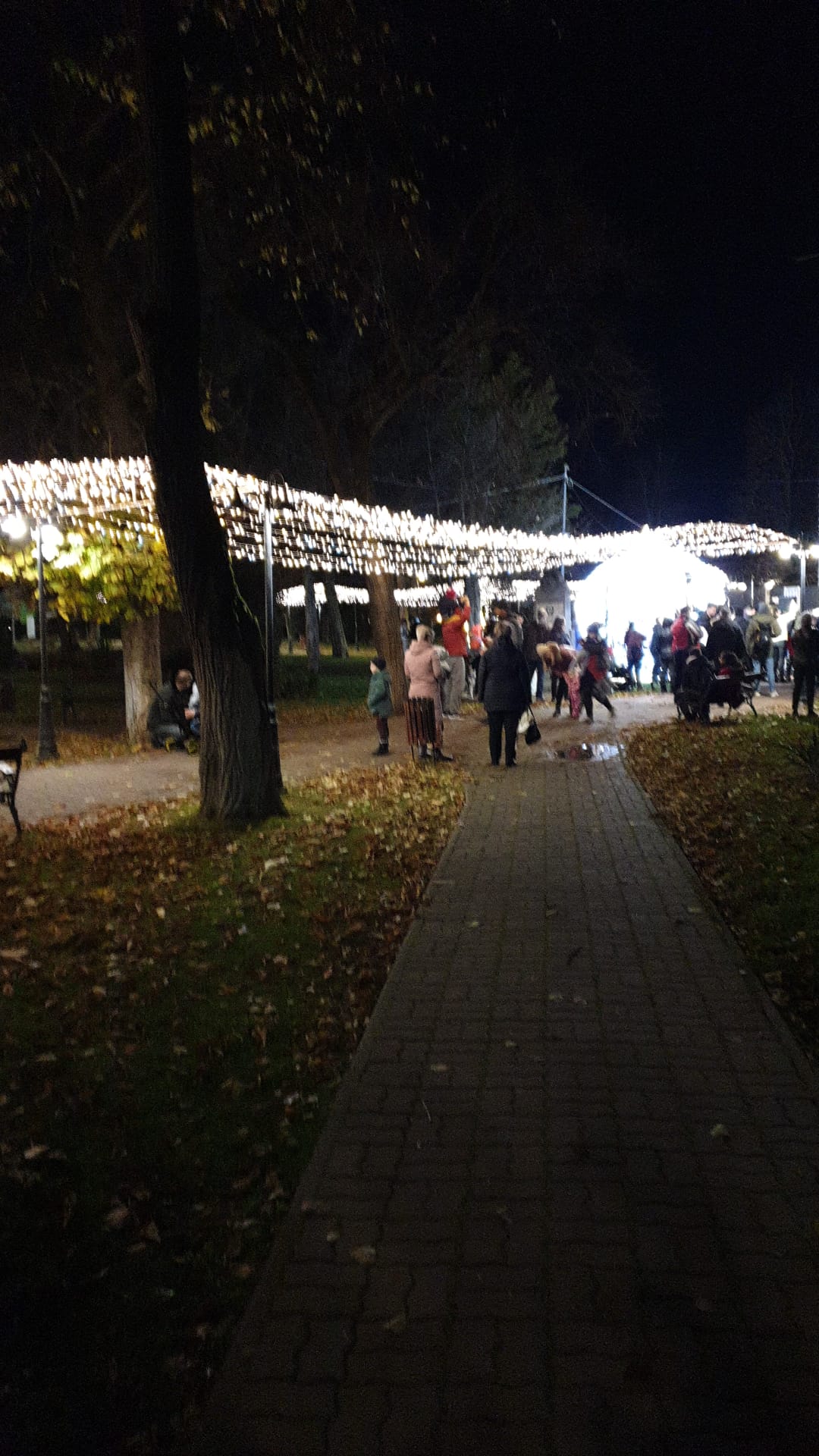 parc craciun dumbravita (8)