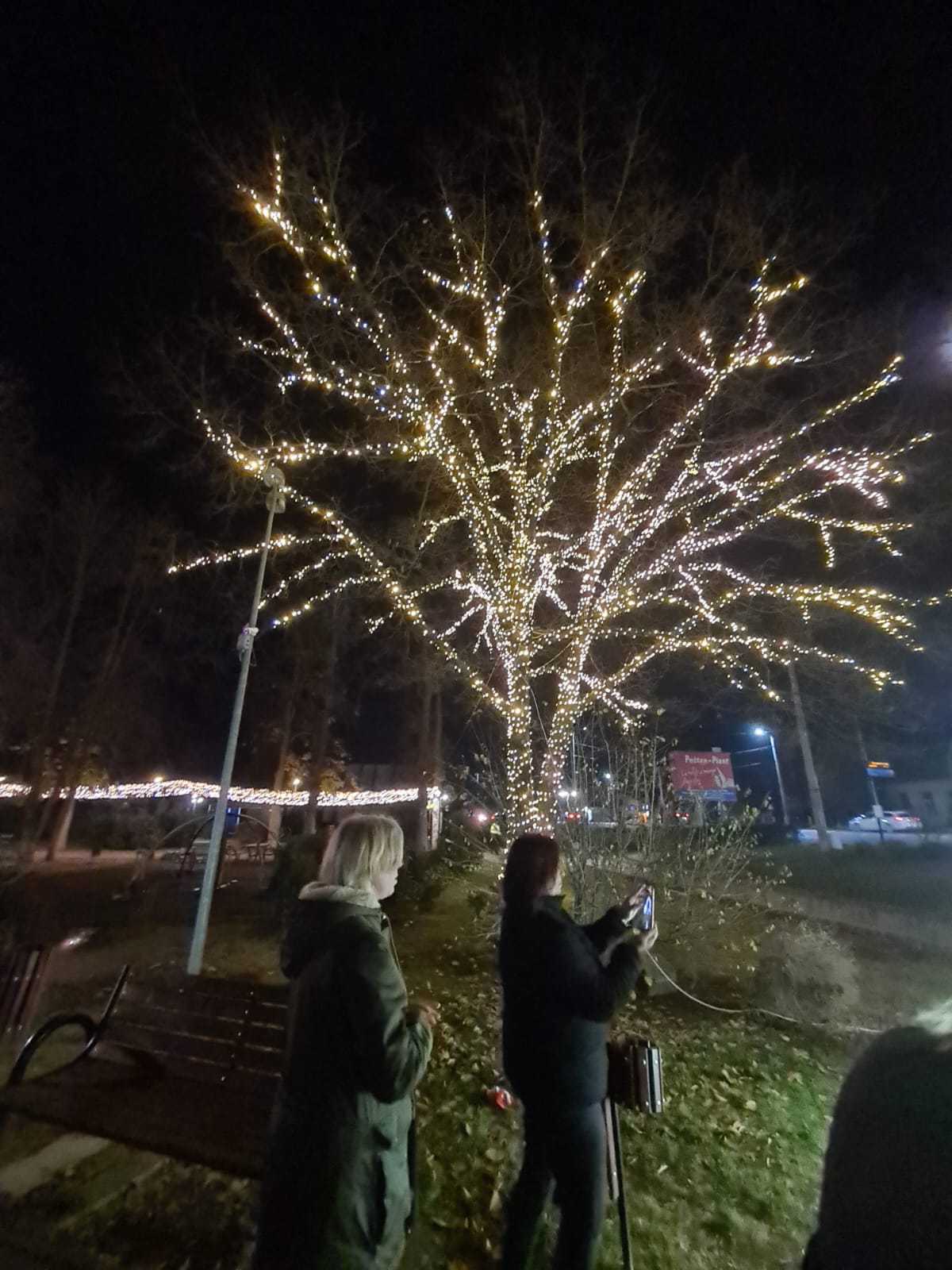 parc craciun dumbravita (9)