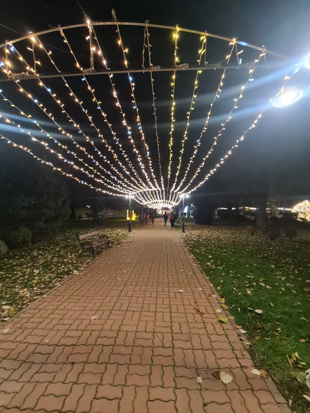 WhatsApp Image 2022-12-05 at 18.53.29