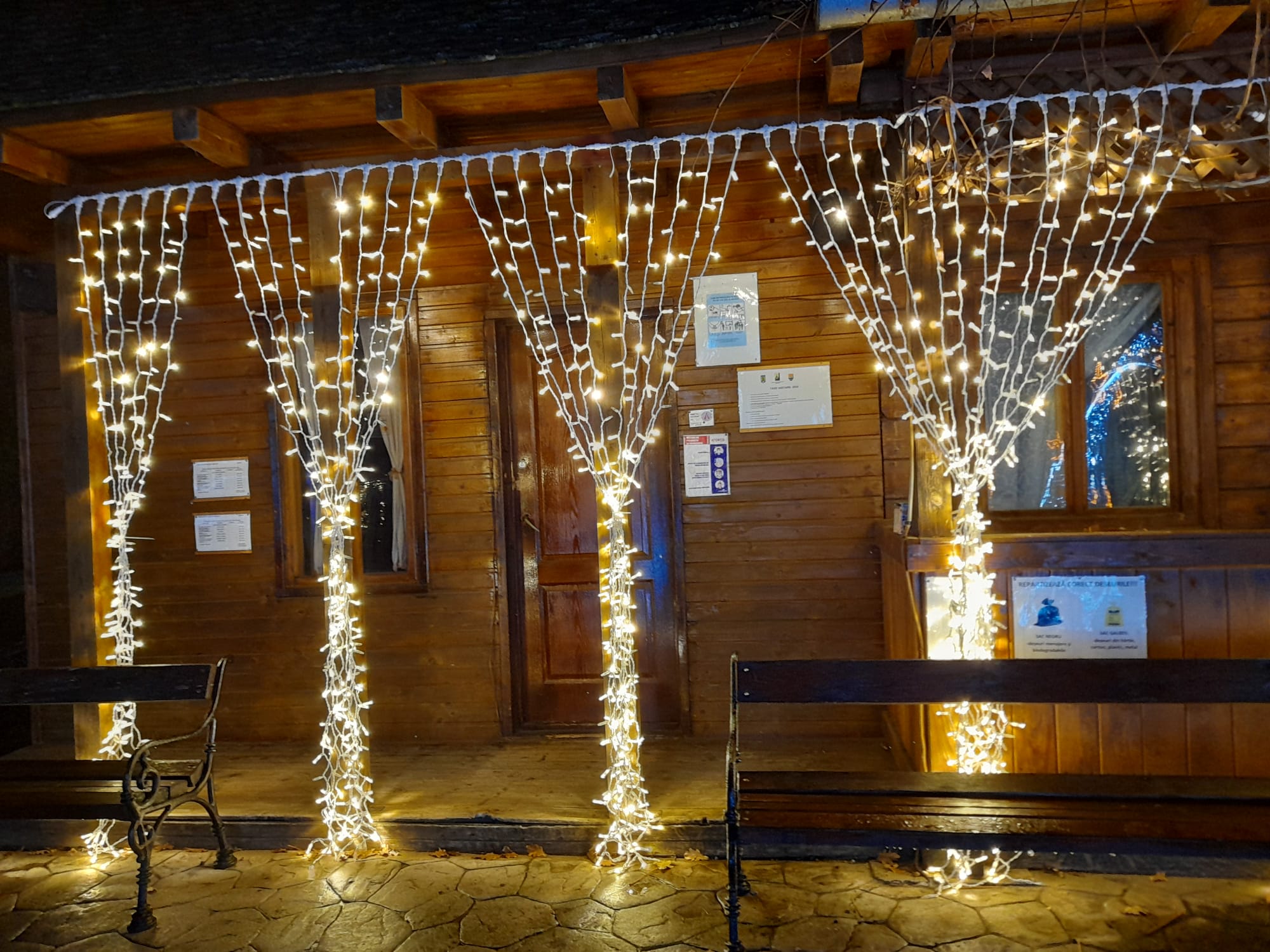 parcul craciunului (2)