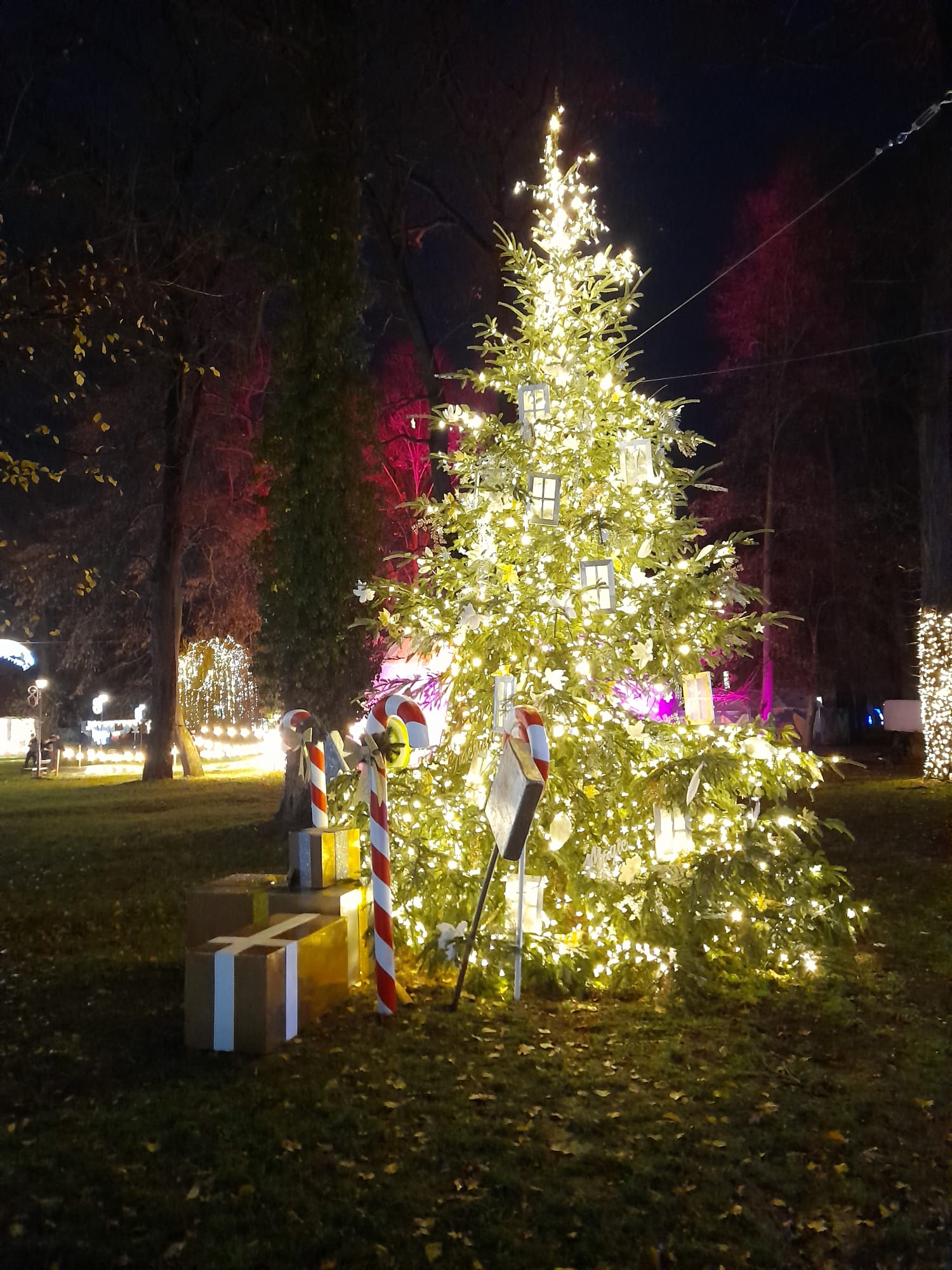 parcul craciunului (3)