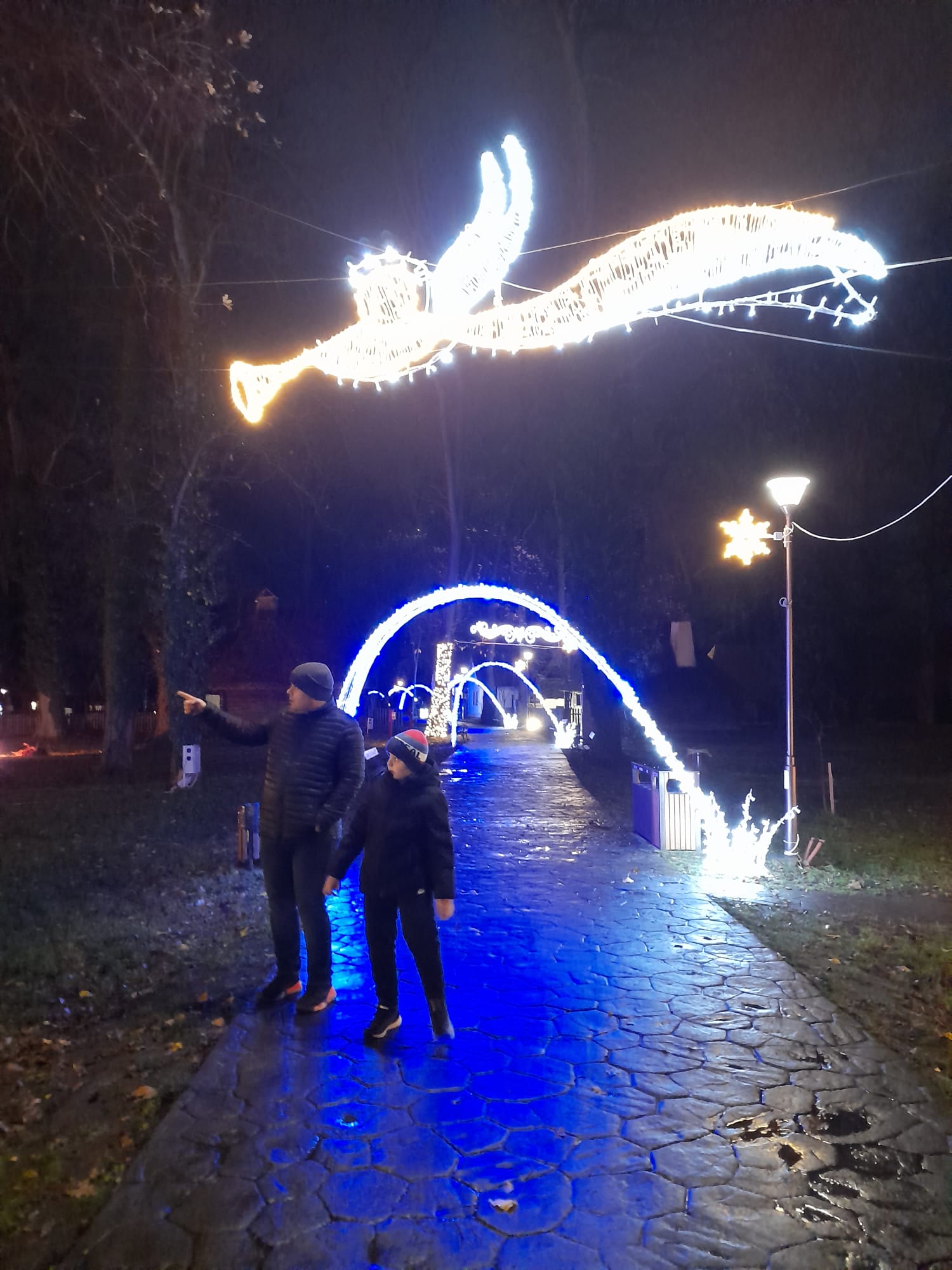 parcul craciunului (4)