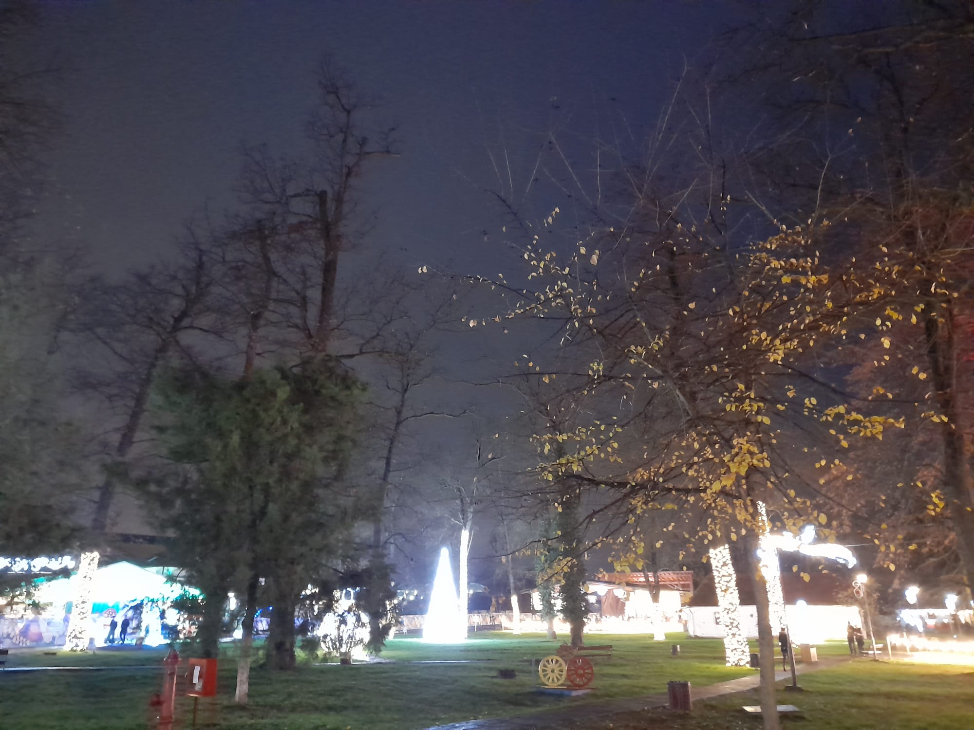 parcul craciunului (5)