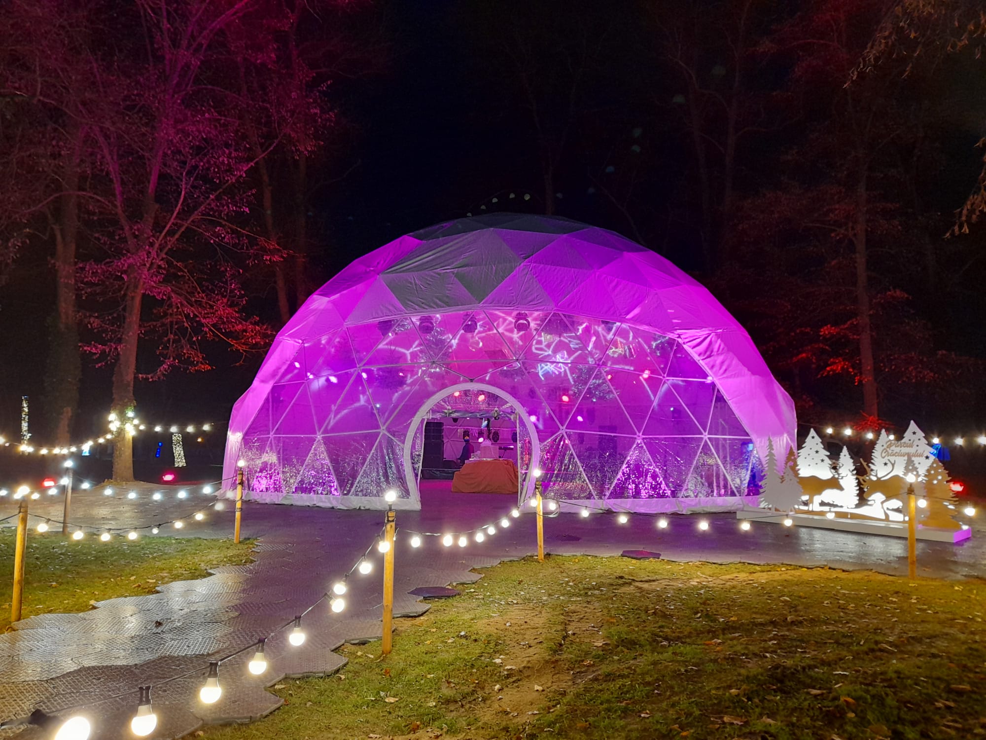 parcul craciunului (7)