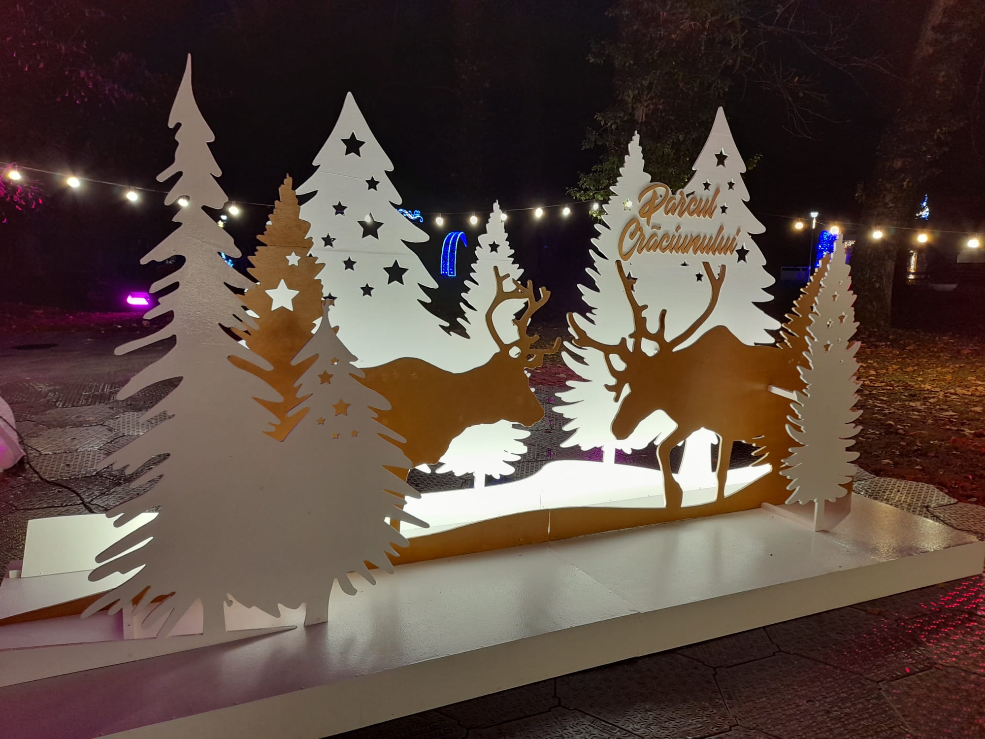 parcul craciunului (8)