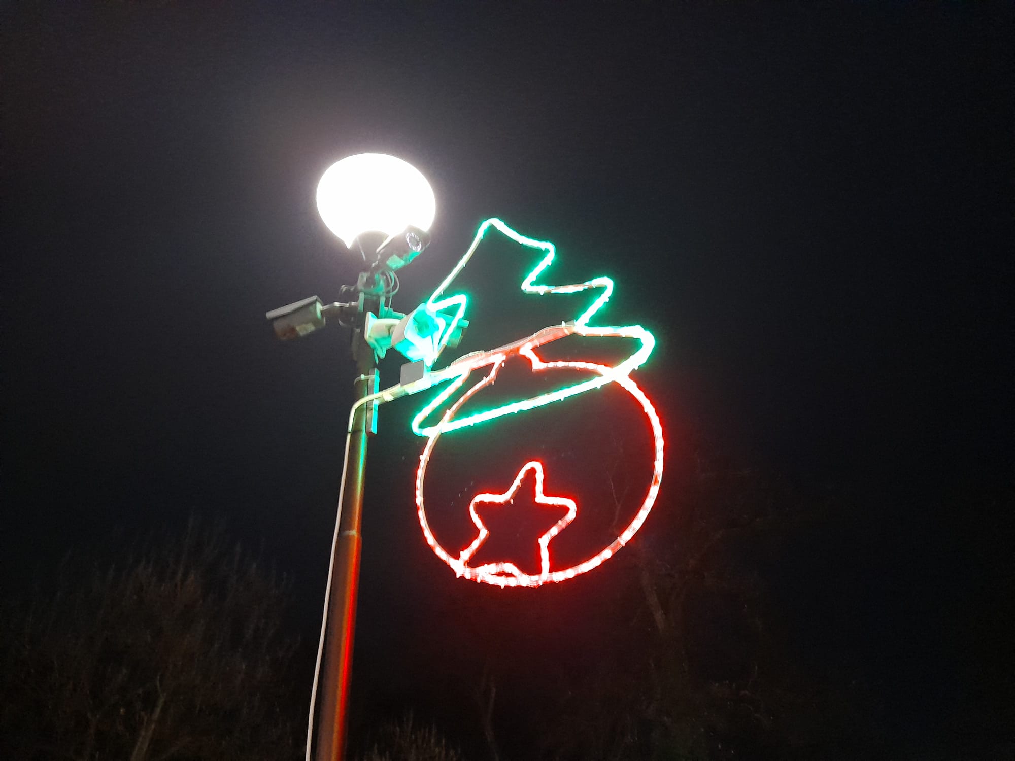 parcul craciunului (10)