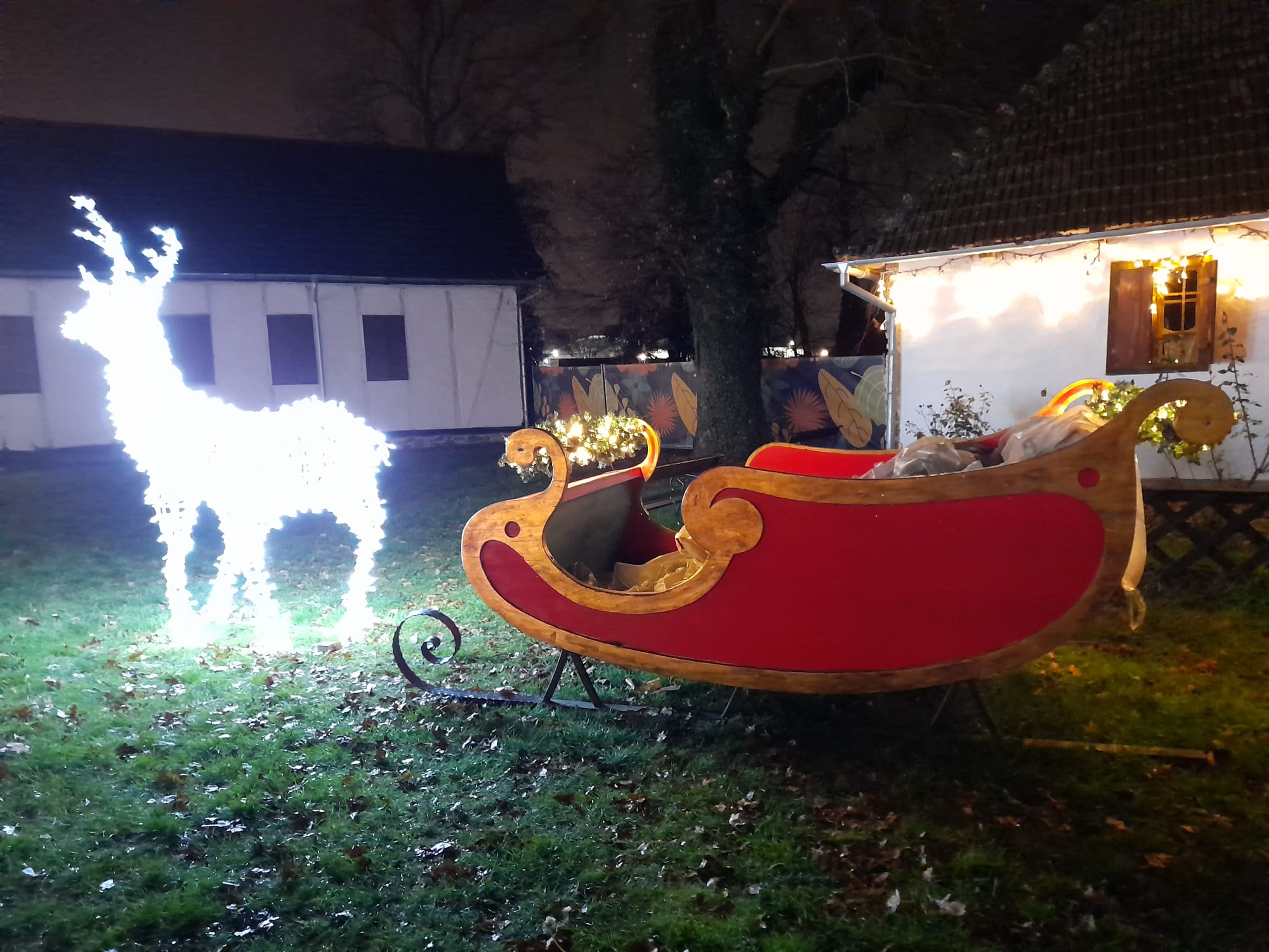 parcul craciunului (16)