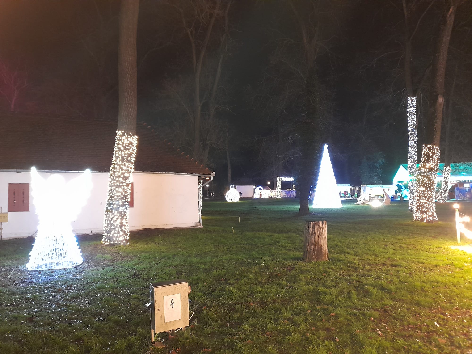 parcul craciunului (17)