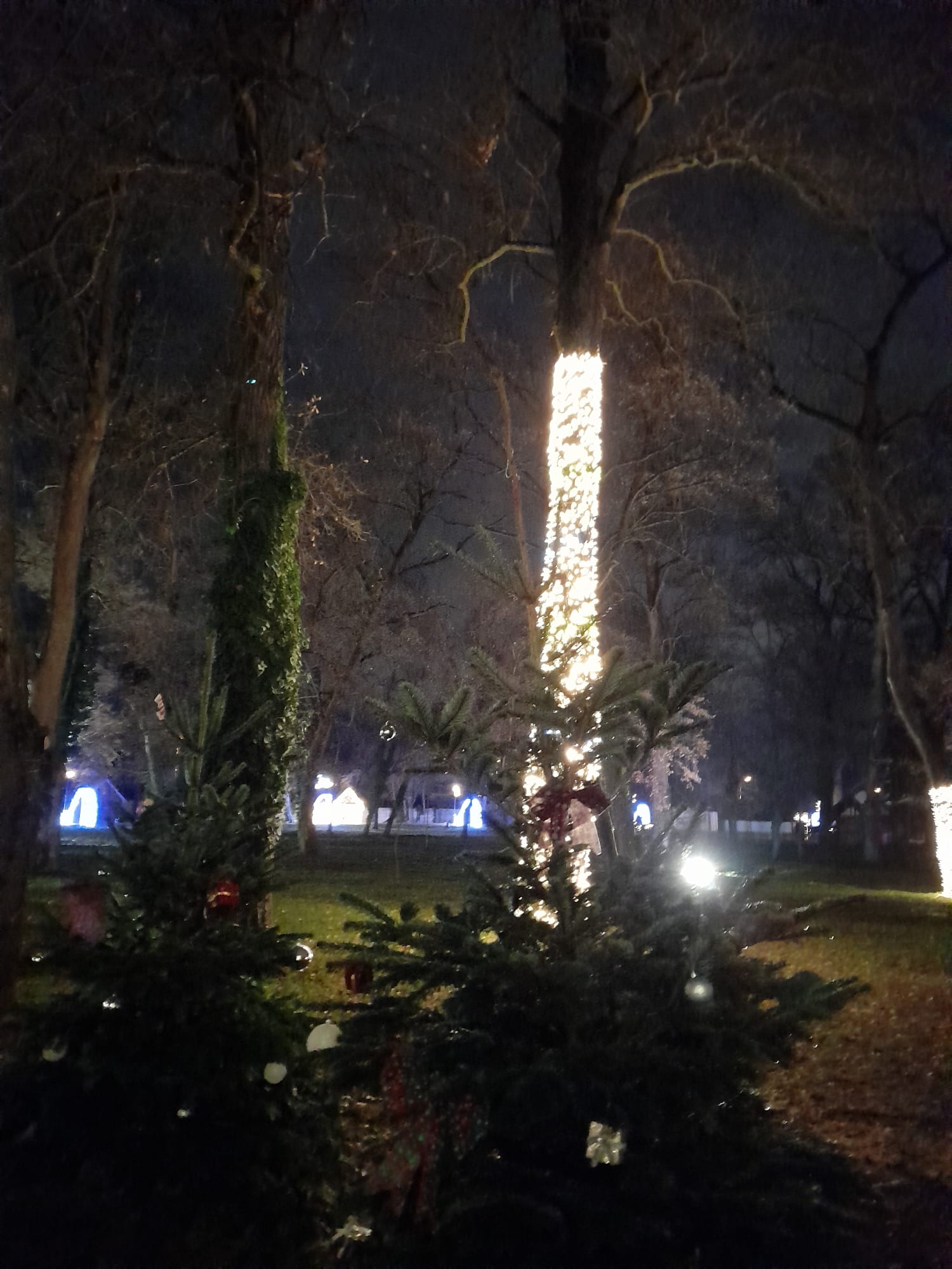 parcul craciunului (18)