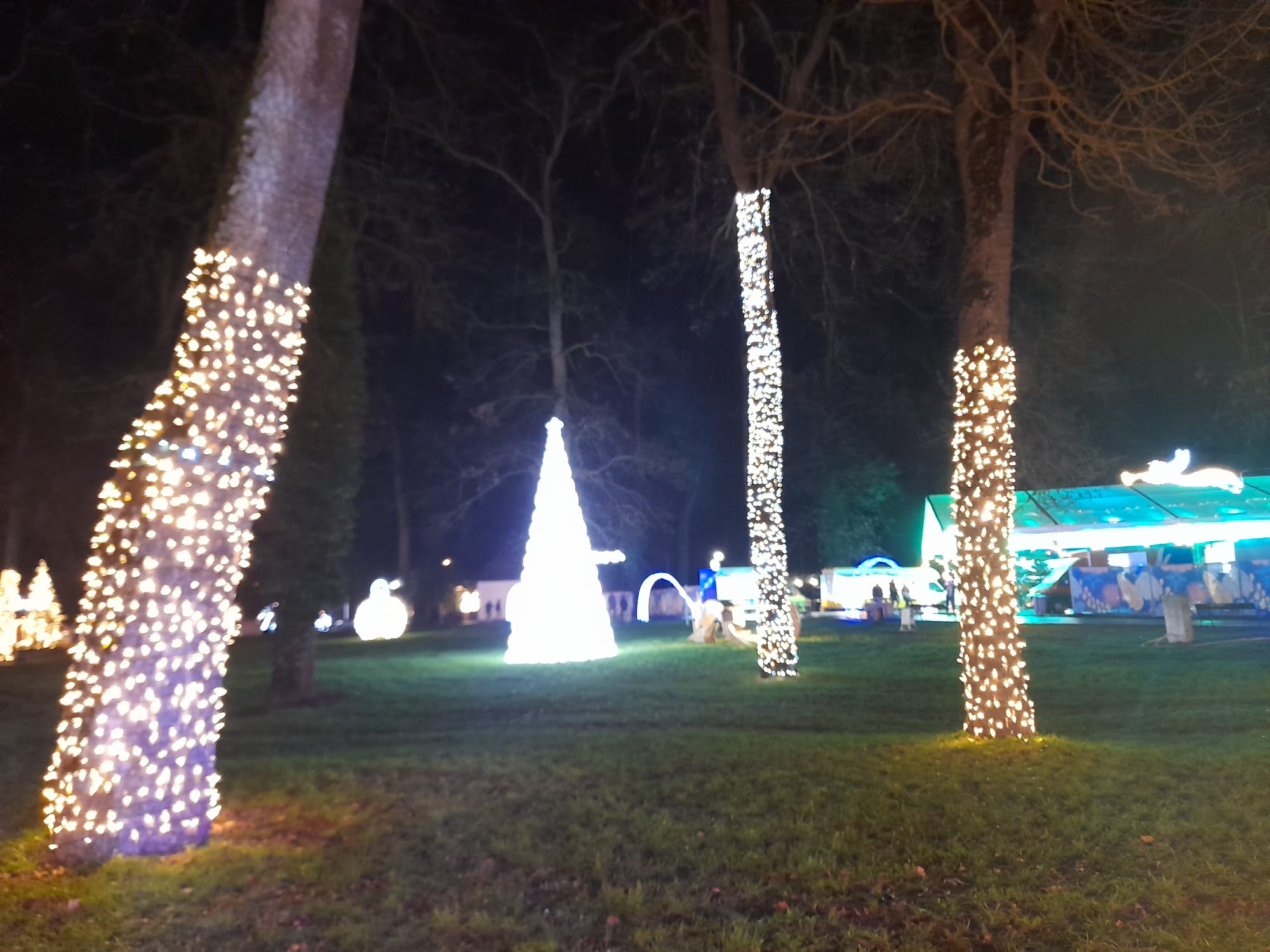 parcul craciunului (20)