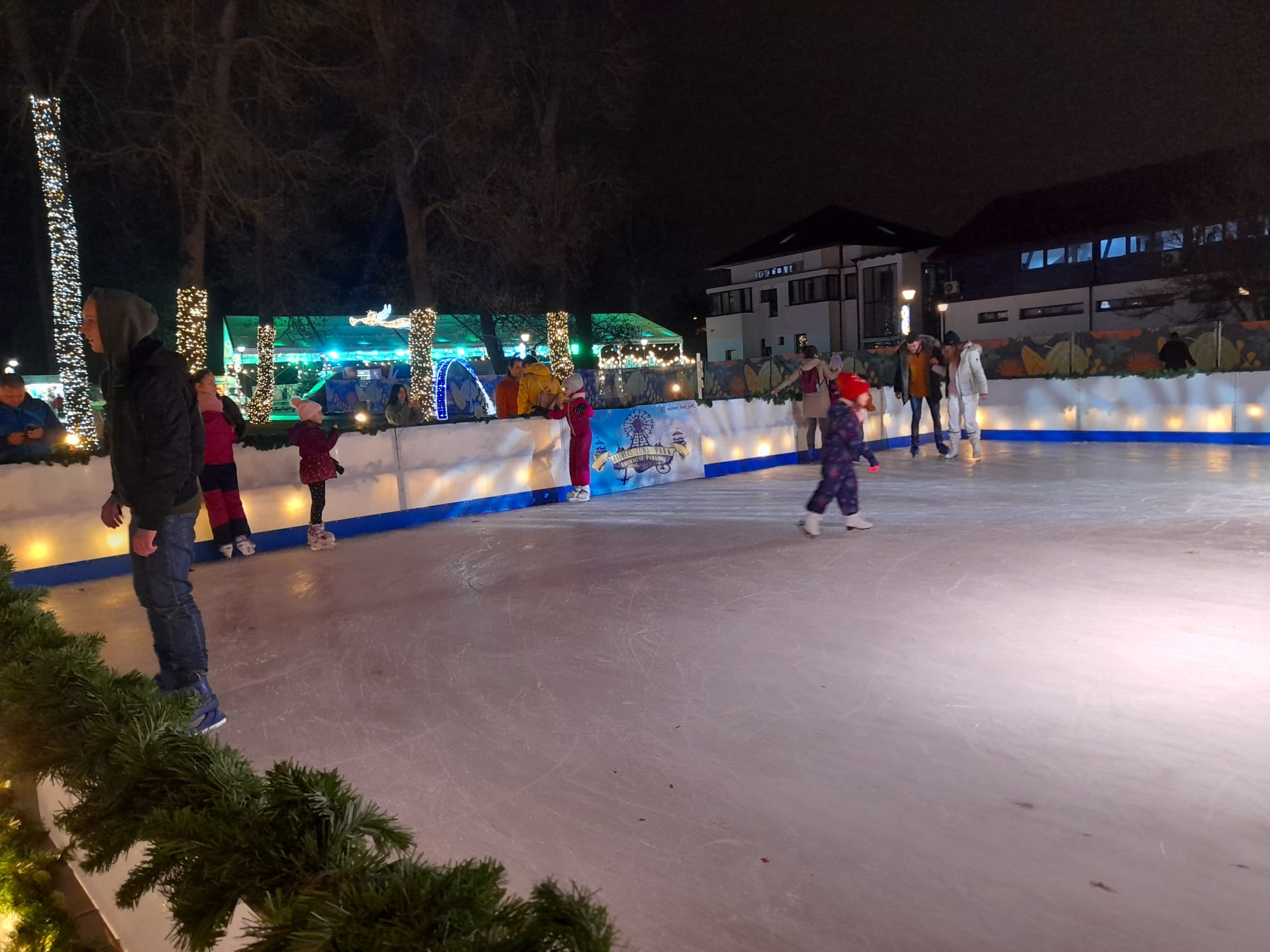 parcul craciunului (21)