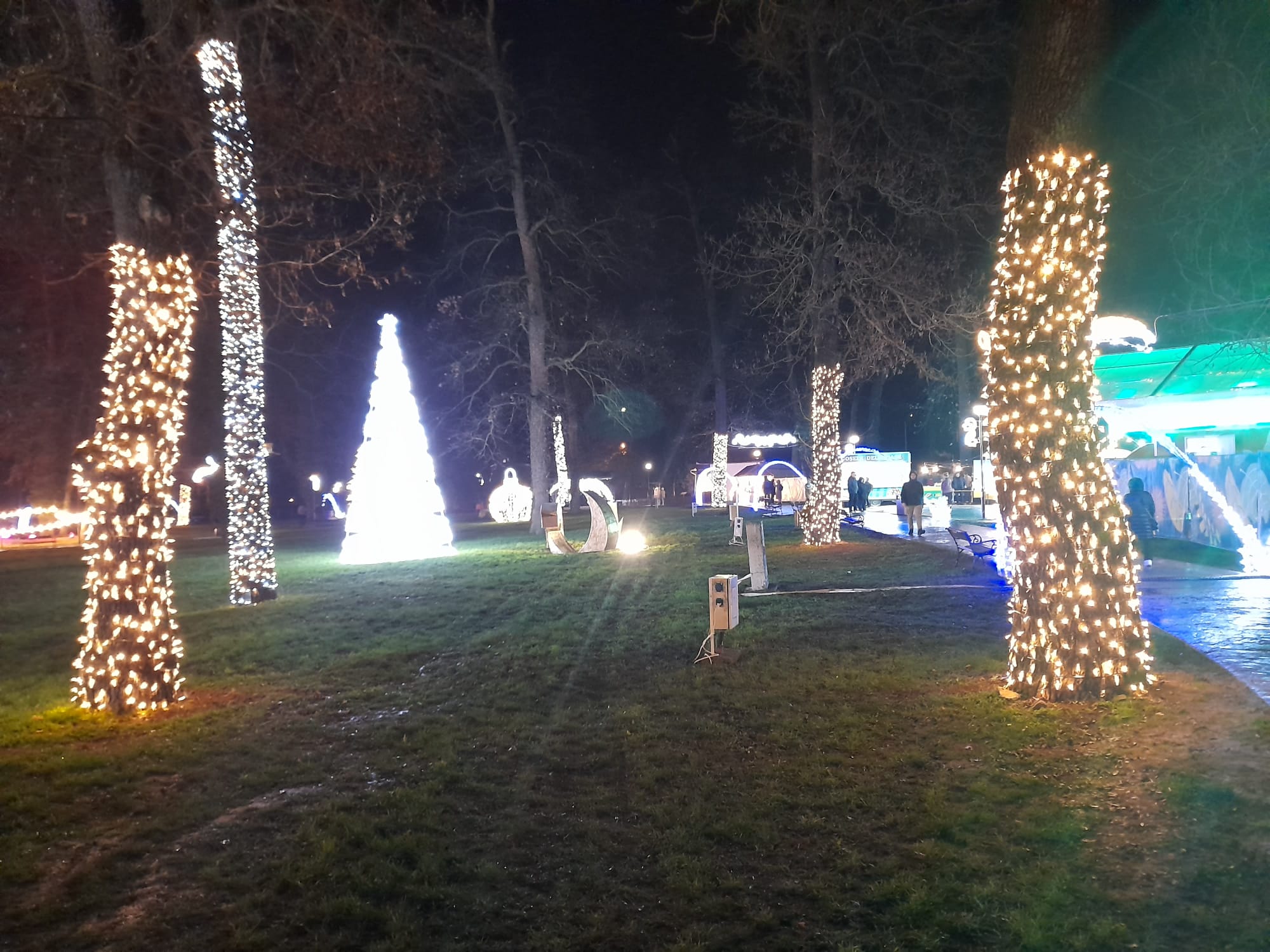 parcul craciunului (22)