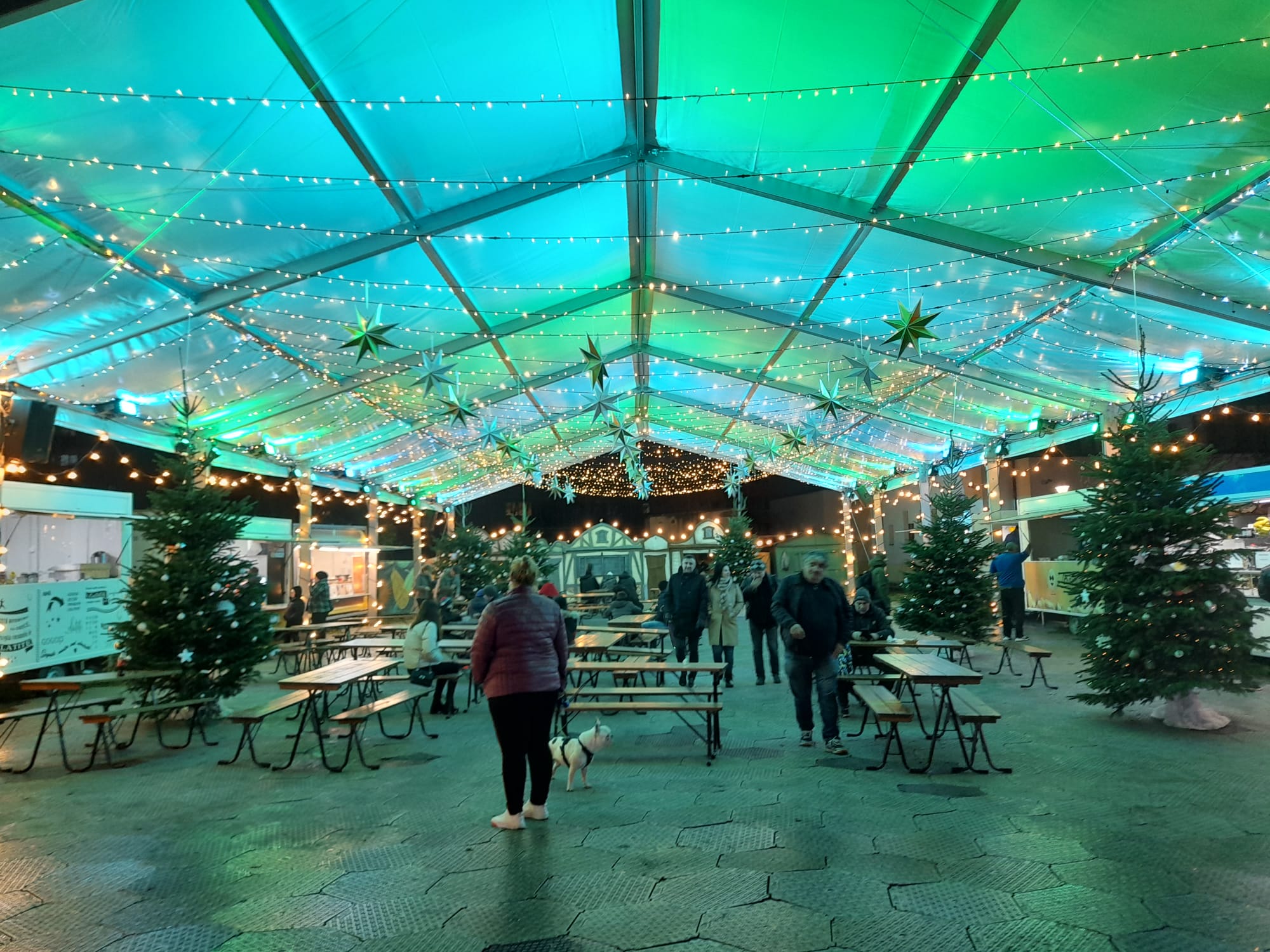 parcul craciunului (27)