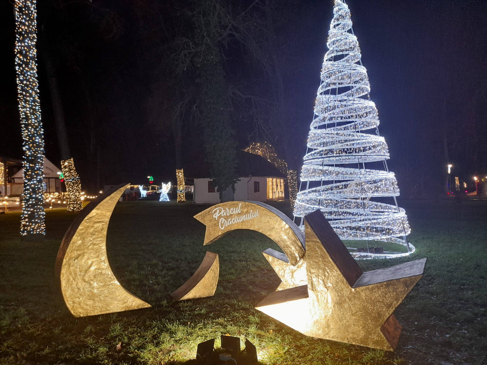 parcul craciunului (28)