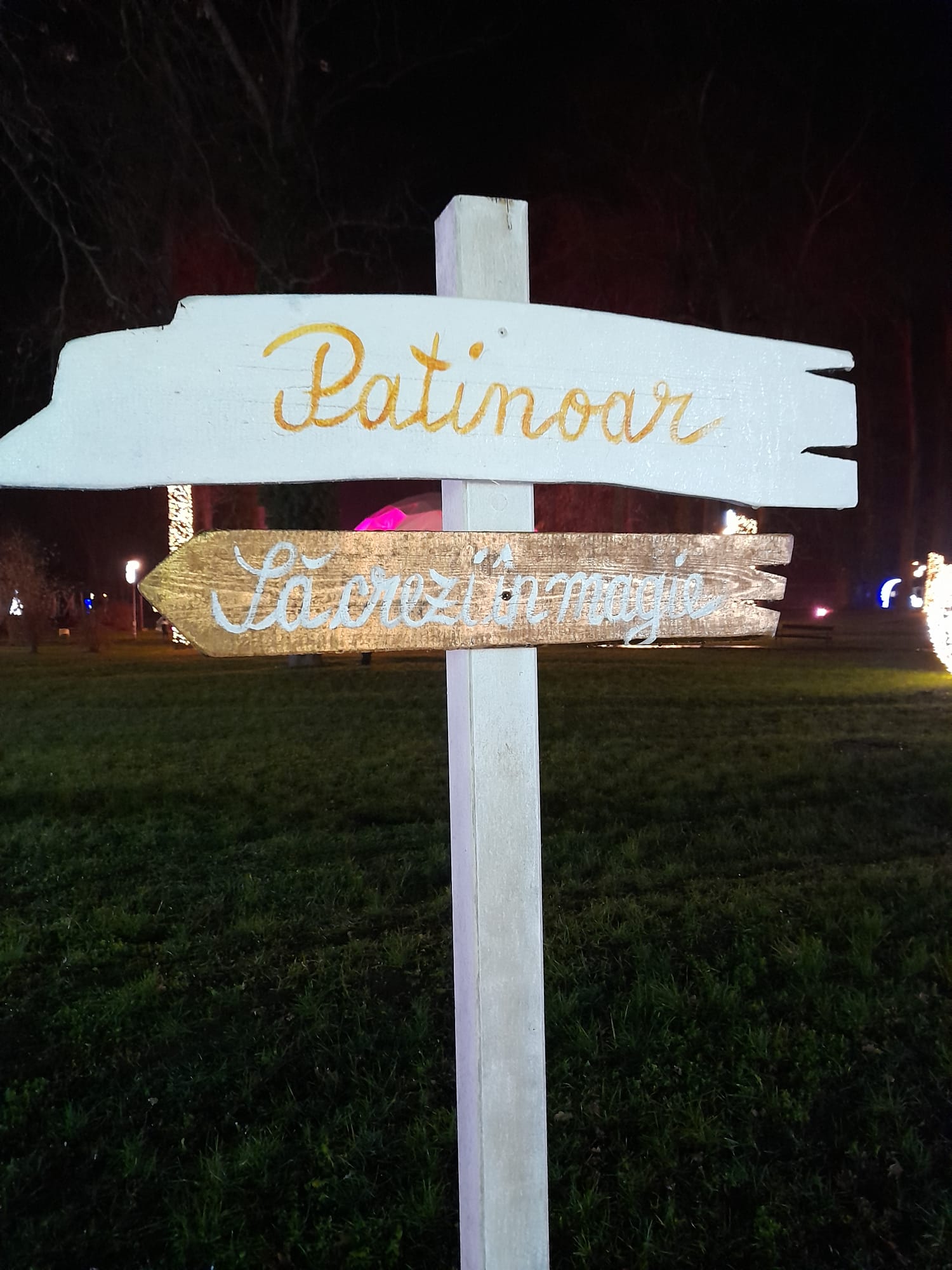 parcul craciunului (30)