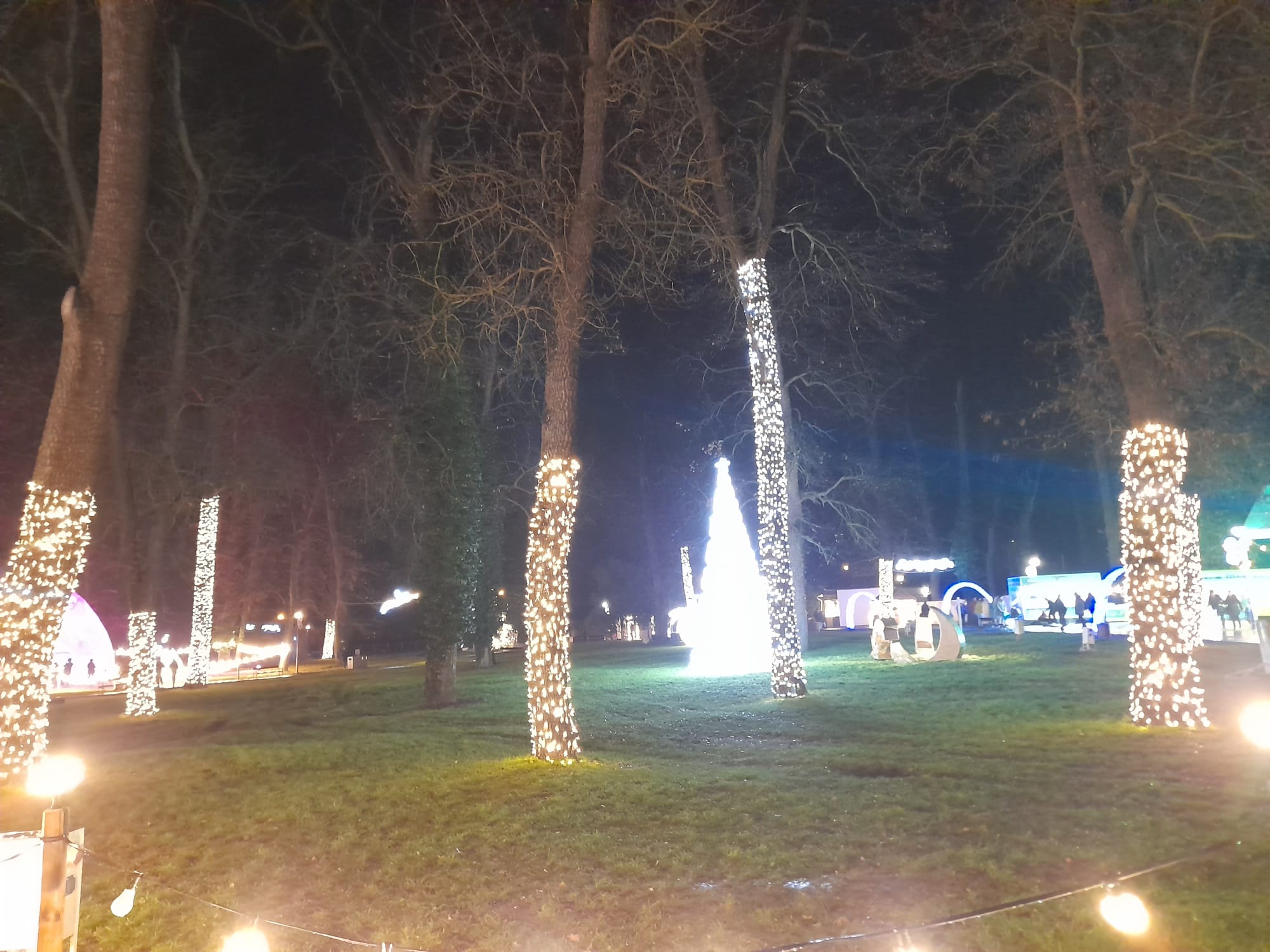 parcul craciunului (33)