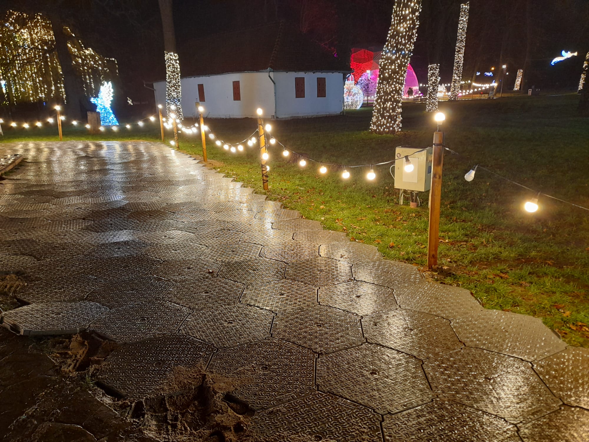 parcul craciunului (34)