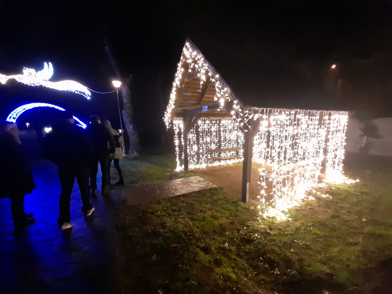 parcul craciunului (38)