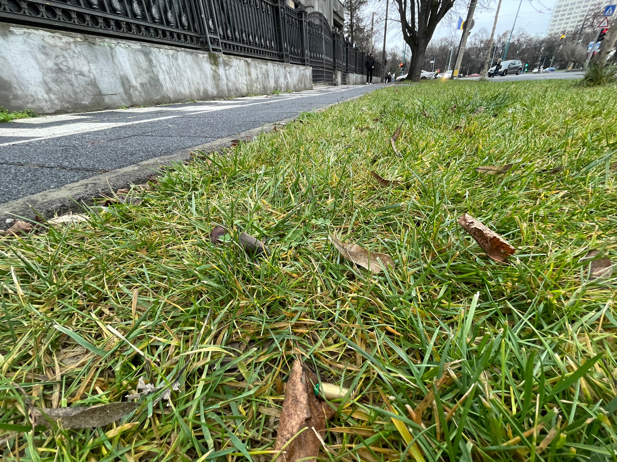 WhatsApp Image 2023-01-10 at 13.29.23