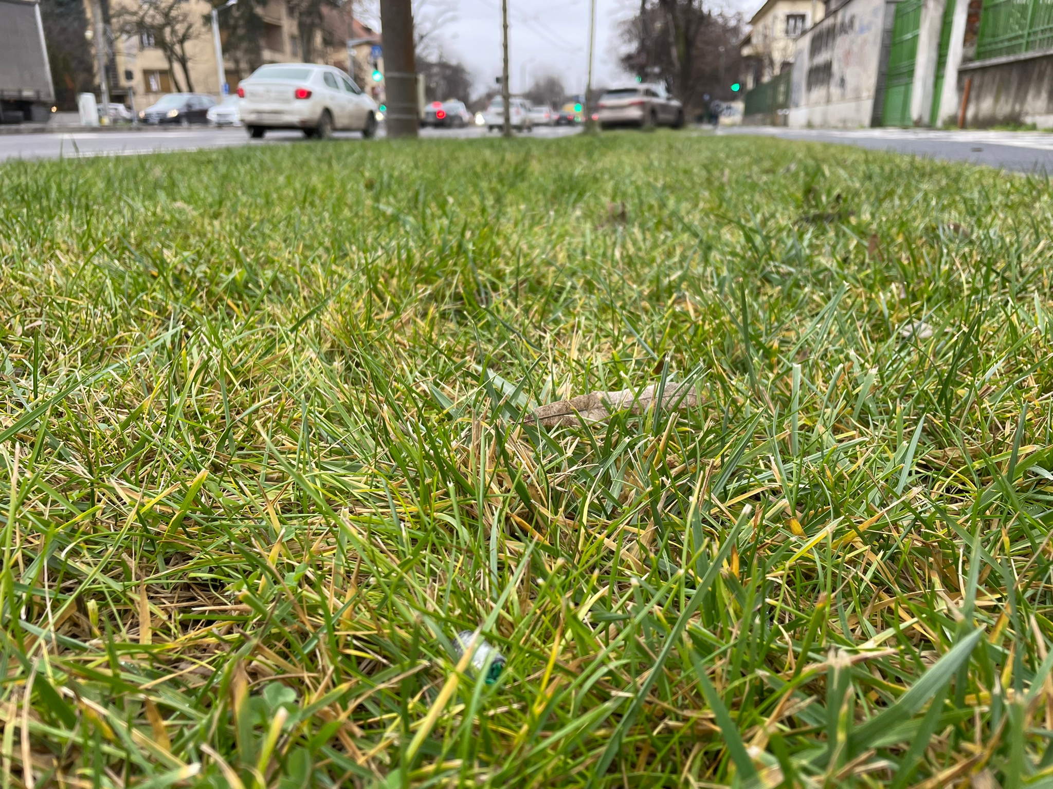 WhatsApp Image 2023-01-10 at 13.29.20