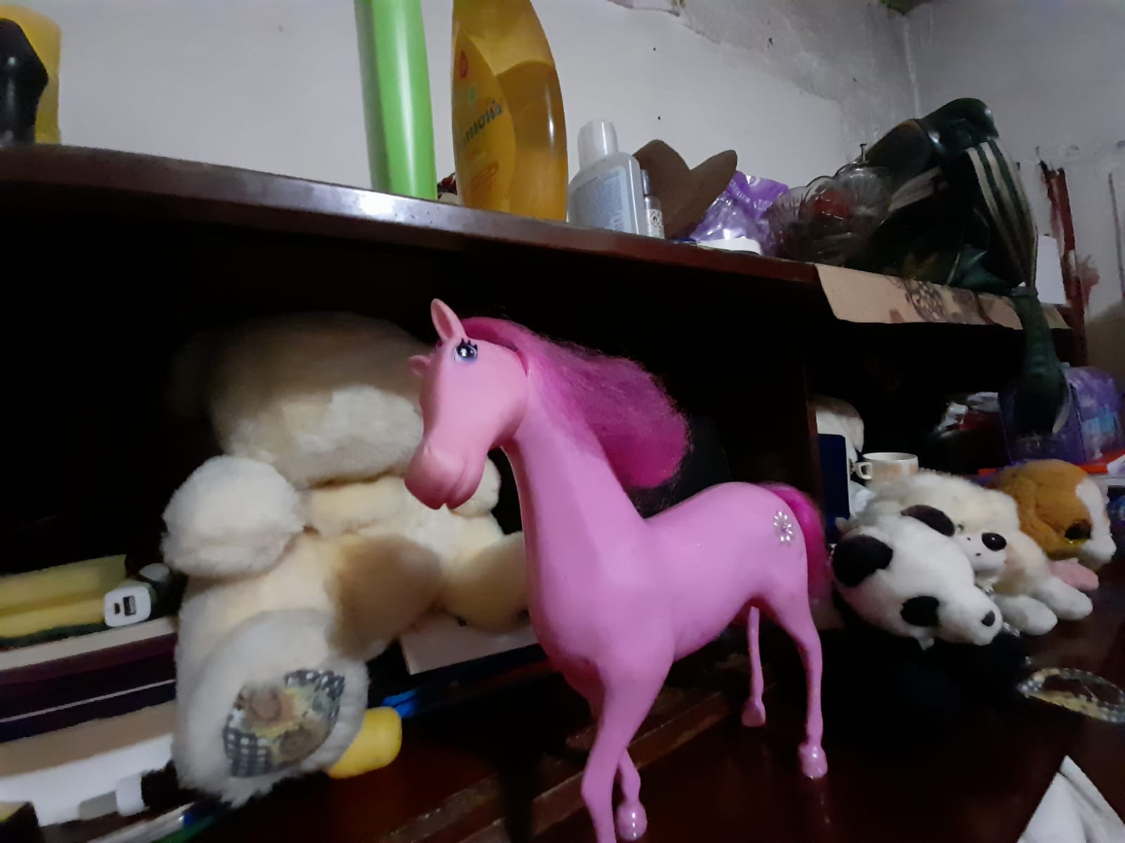 WhatsApp Image 2023-01-12 at 11.40.27 (1)