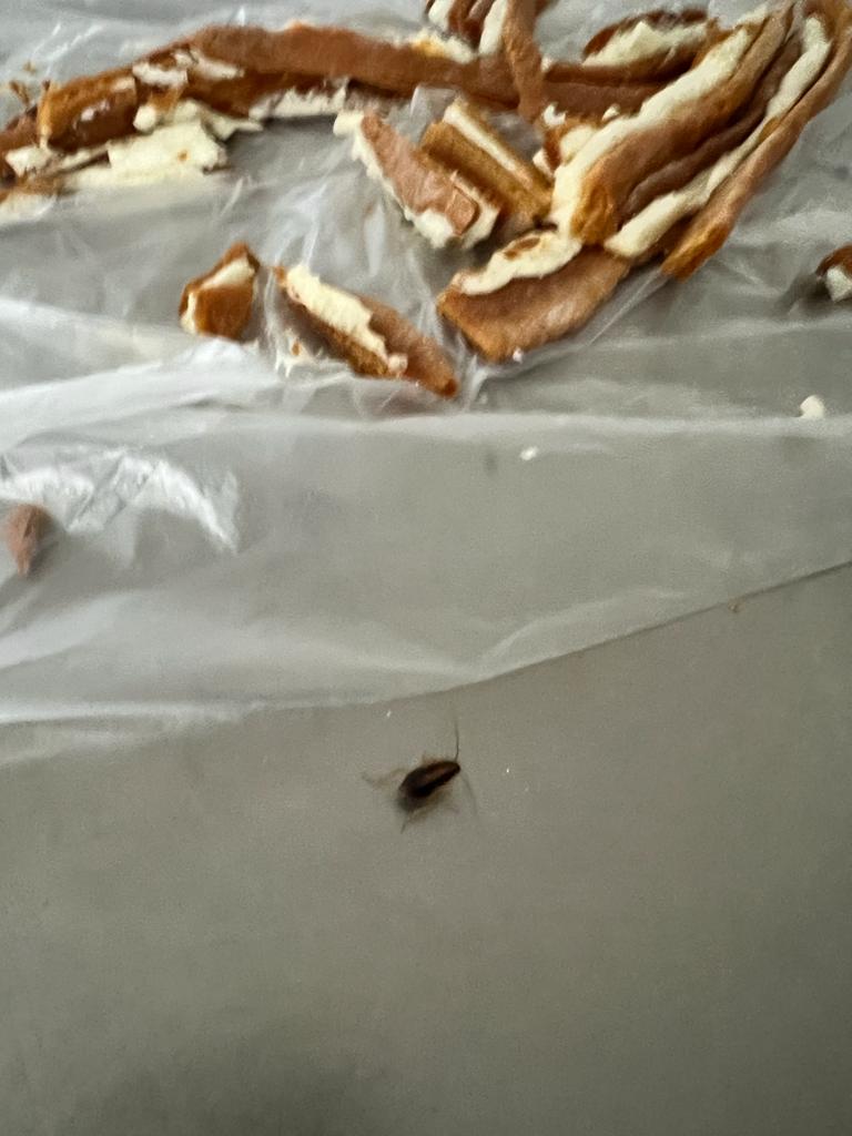 WhatsApp Image 2023-01-19 at 16.49.30 (1)