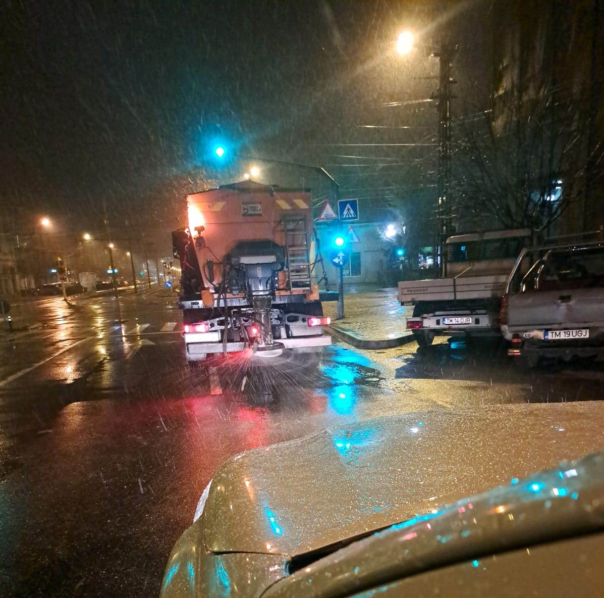 deszapezire timisoara (2)