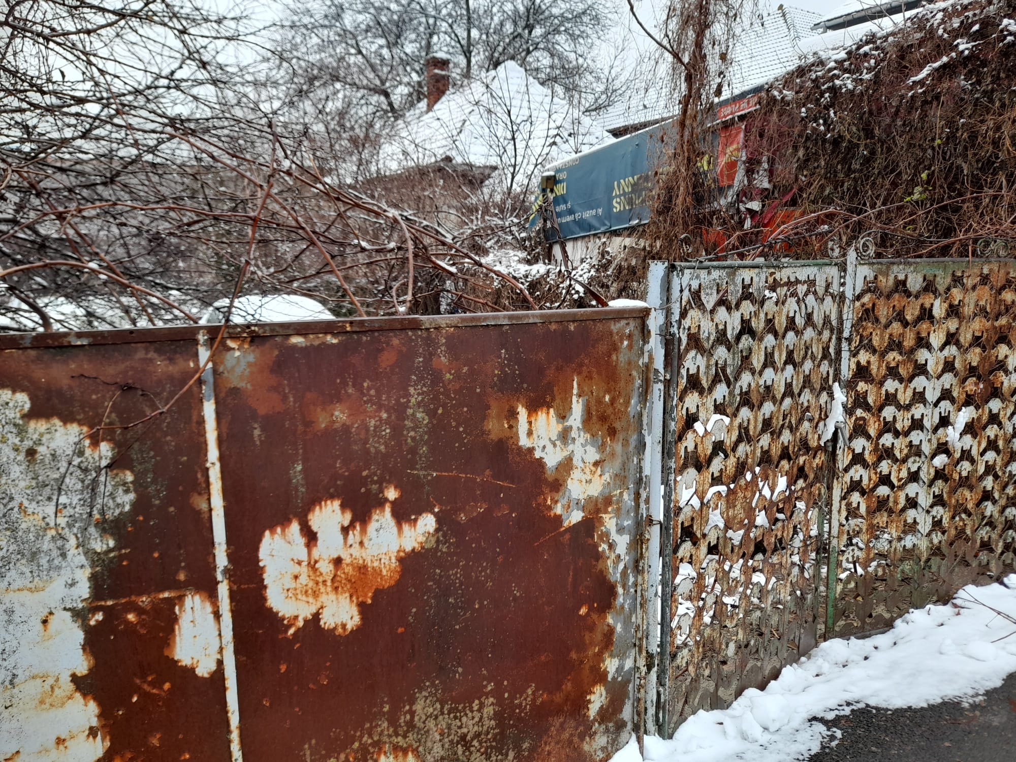 WhatsApp Image 2023-01-27 at 14.57.09