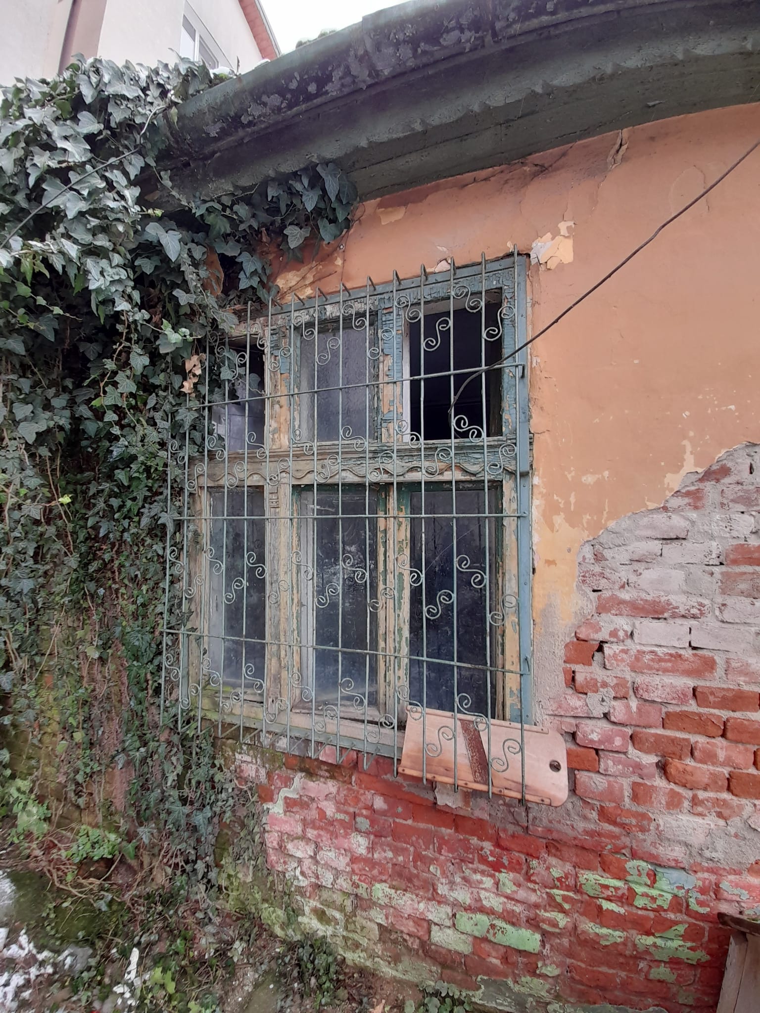 WhatsApp Image 2023-01-27 at 14.57.08