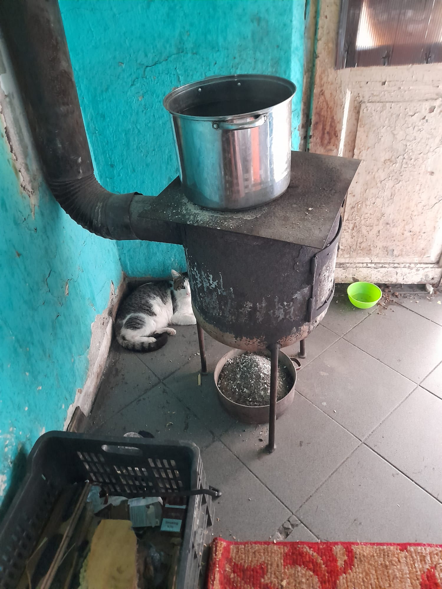 WhatsApp Image 2023-01-27 at 14.57.04 (1)