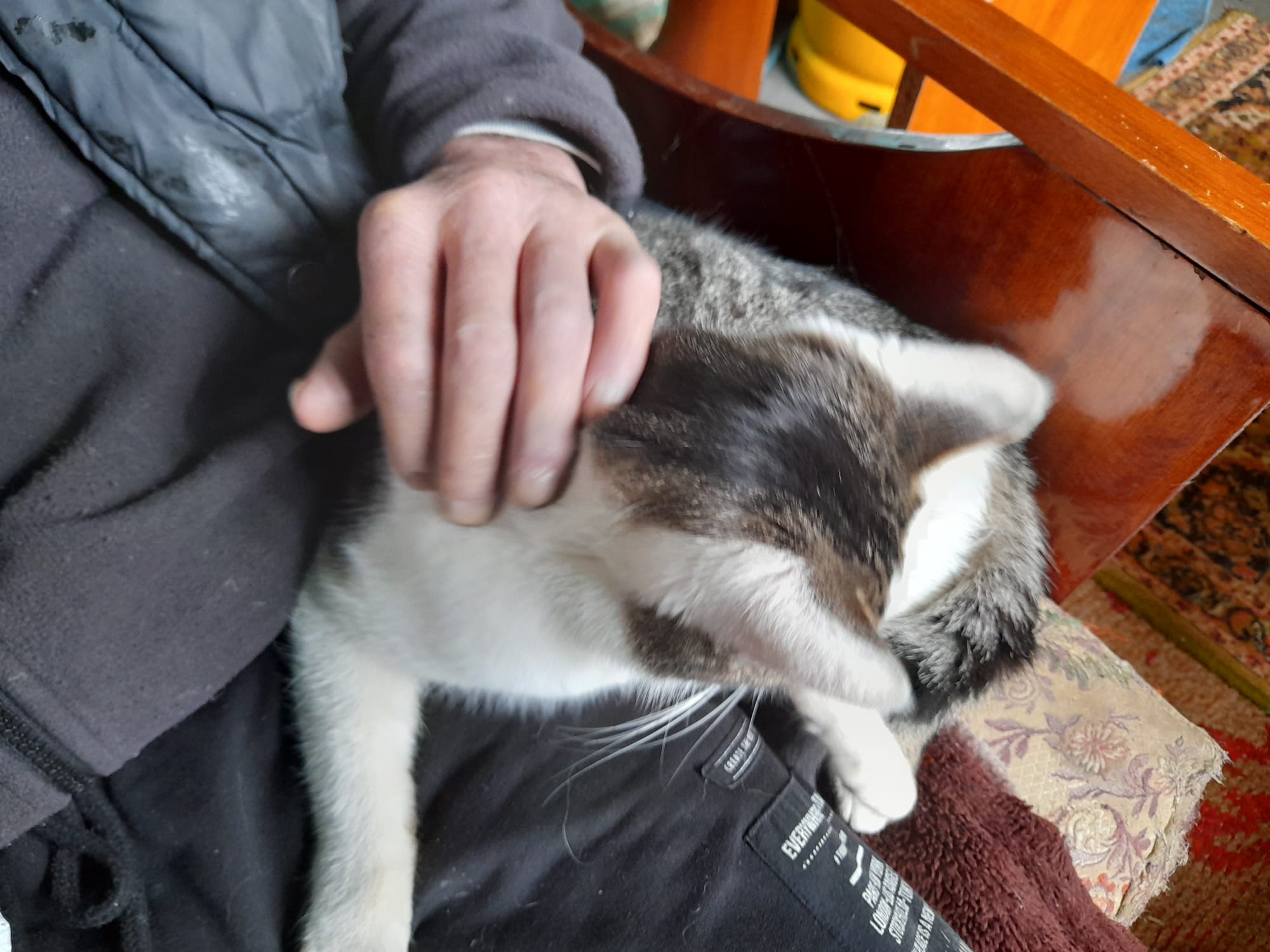 WhatsApp Image 2023-01-27 at 14.57.02