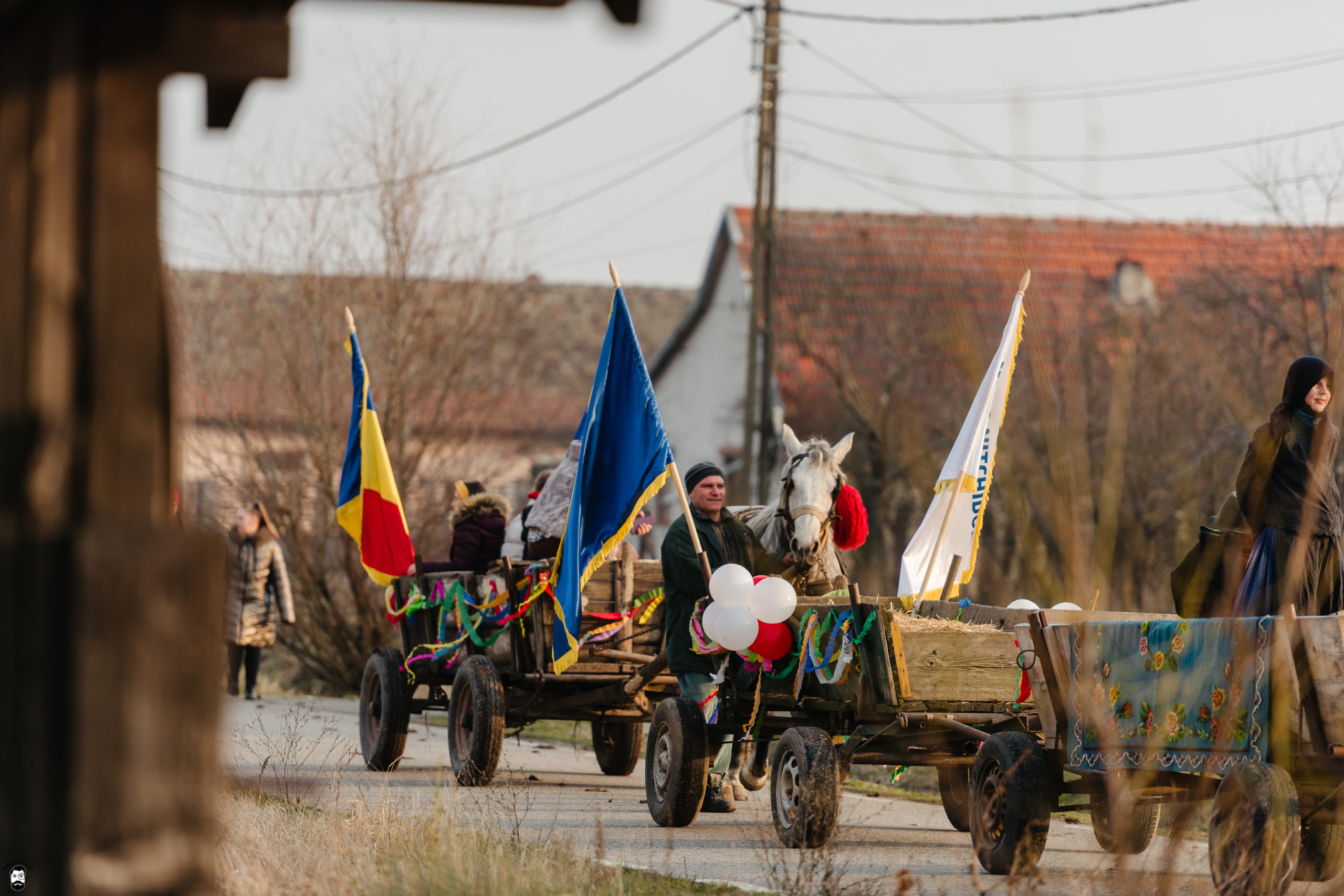 carnaval Nitchidorf (277)