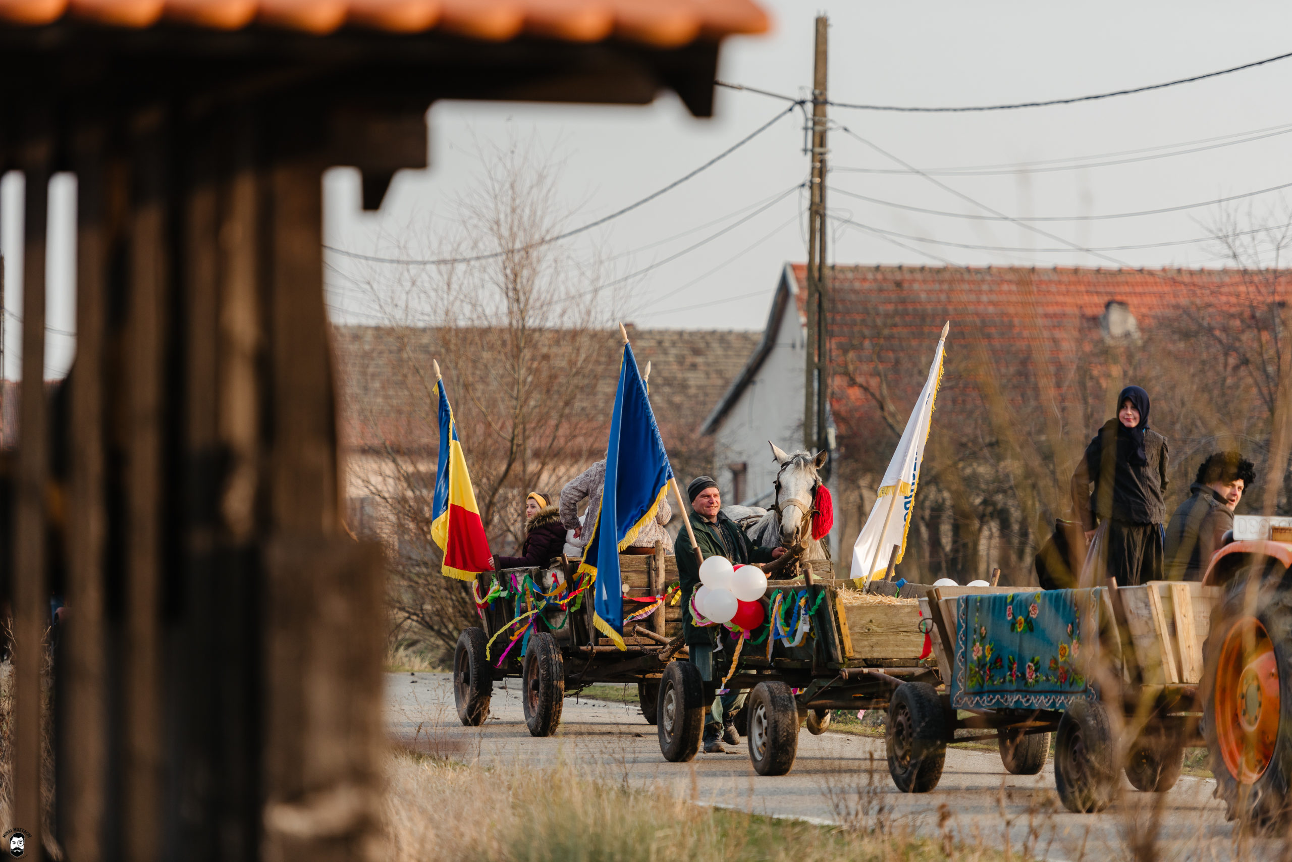 carnaval Nitchidorf (278)
