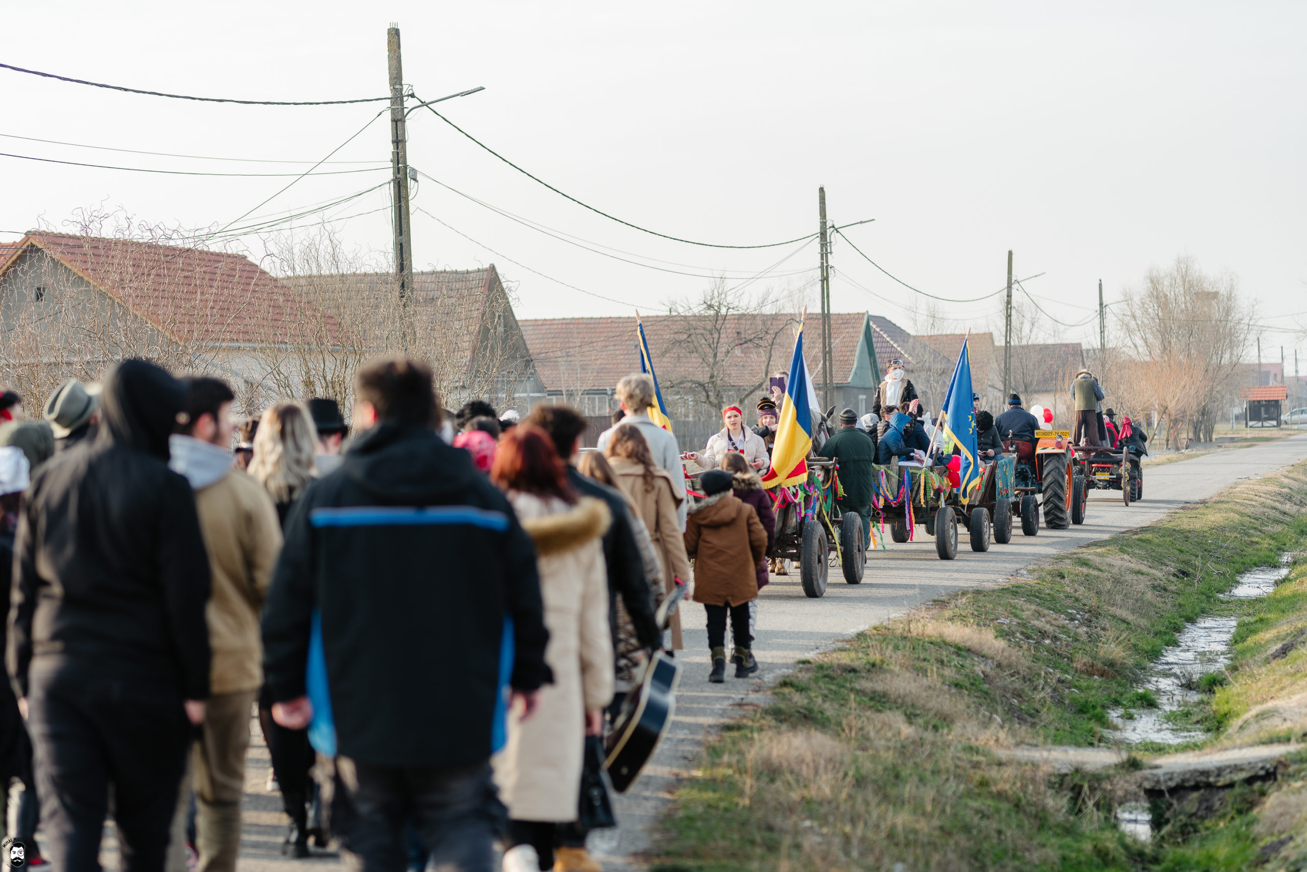 carnaval Nitchidorf (300)