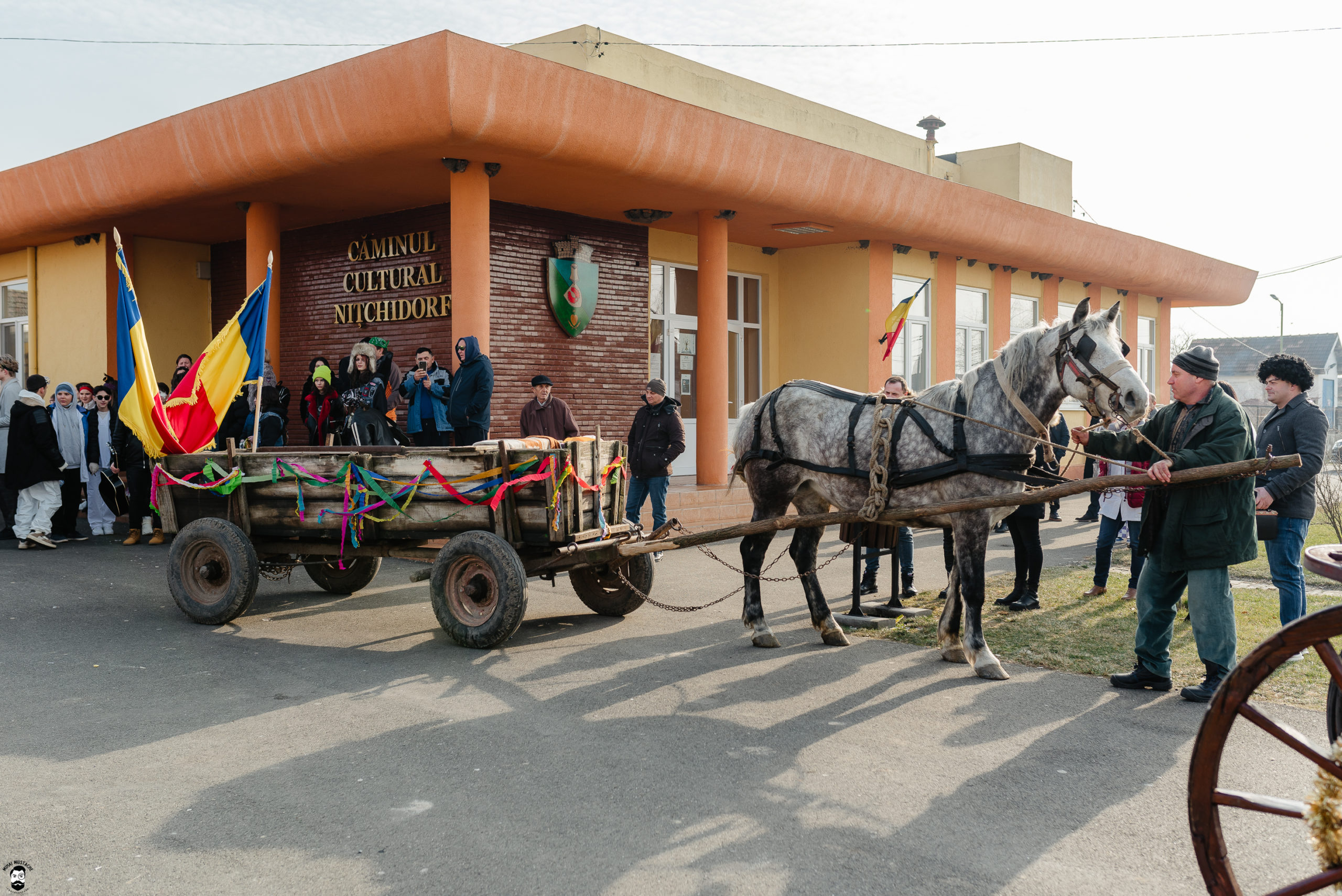 carnaval Nitchidorf (413)
