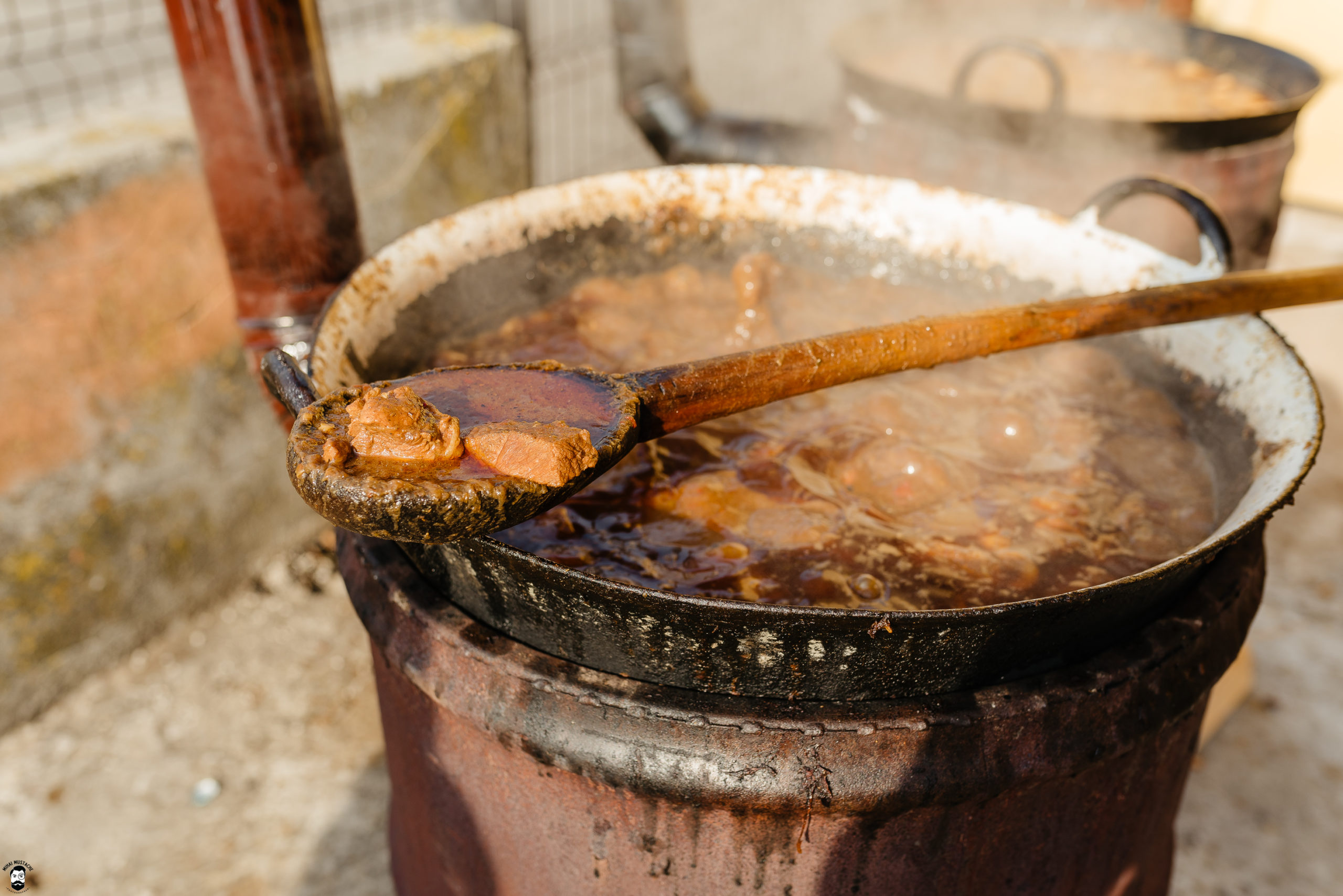 carnaval Nitchidorf (441)