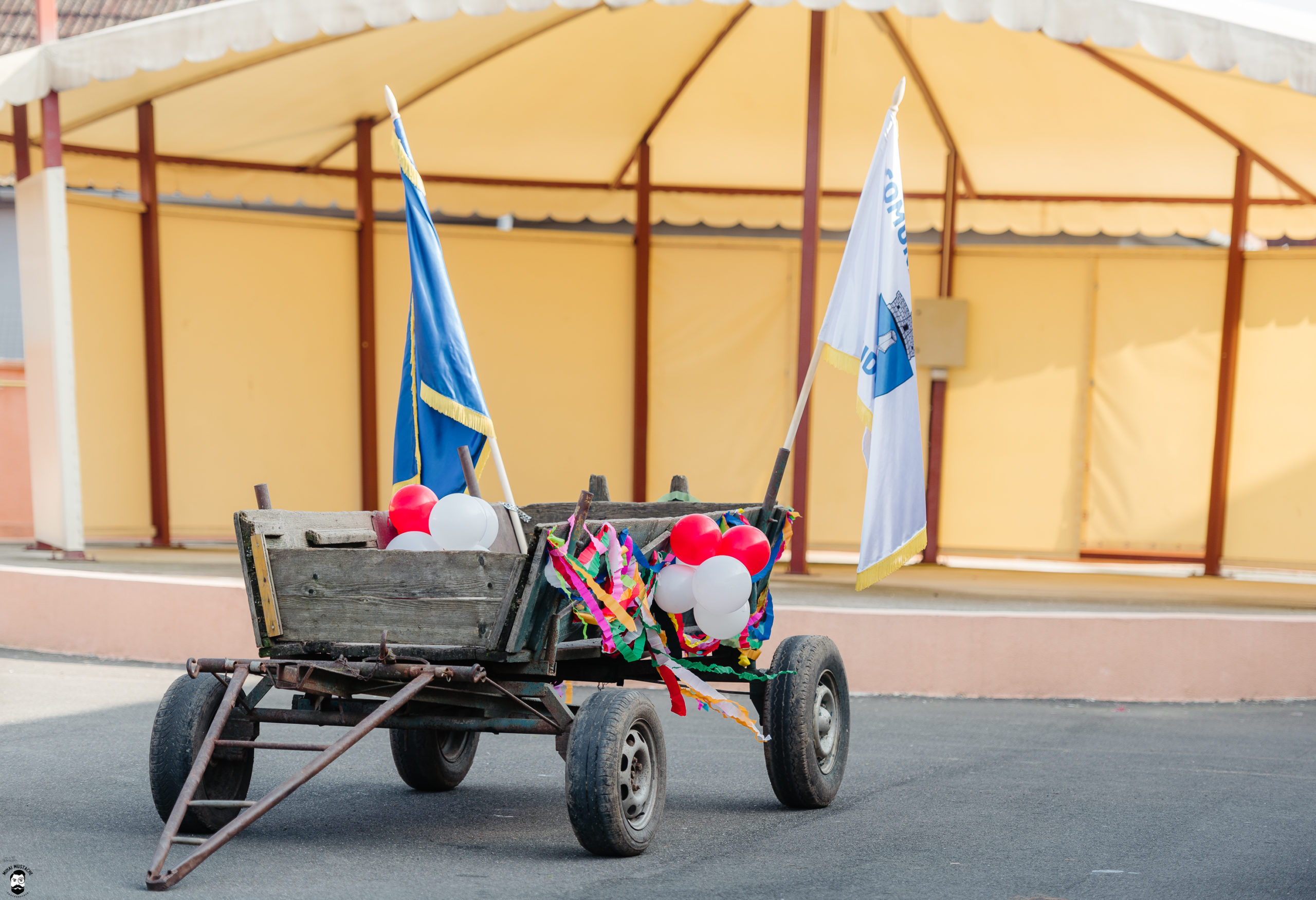 carnaval Nitchidorf (462)