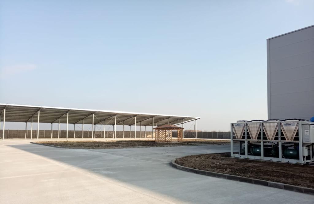 tomnatic centru legume