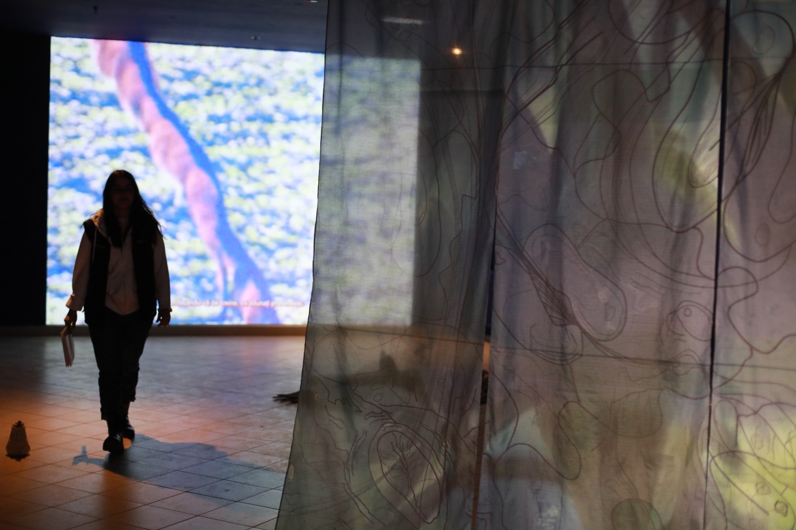 Chronic Desire - Multiplexity (3)