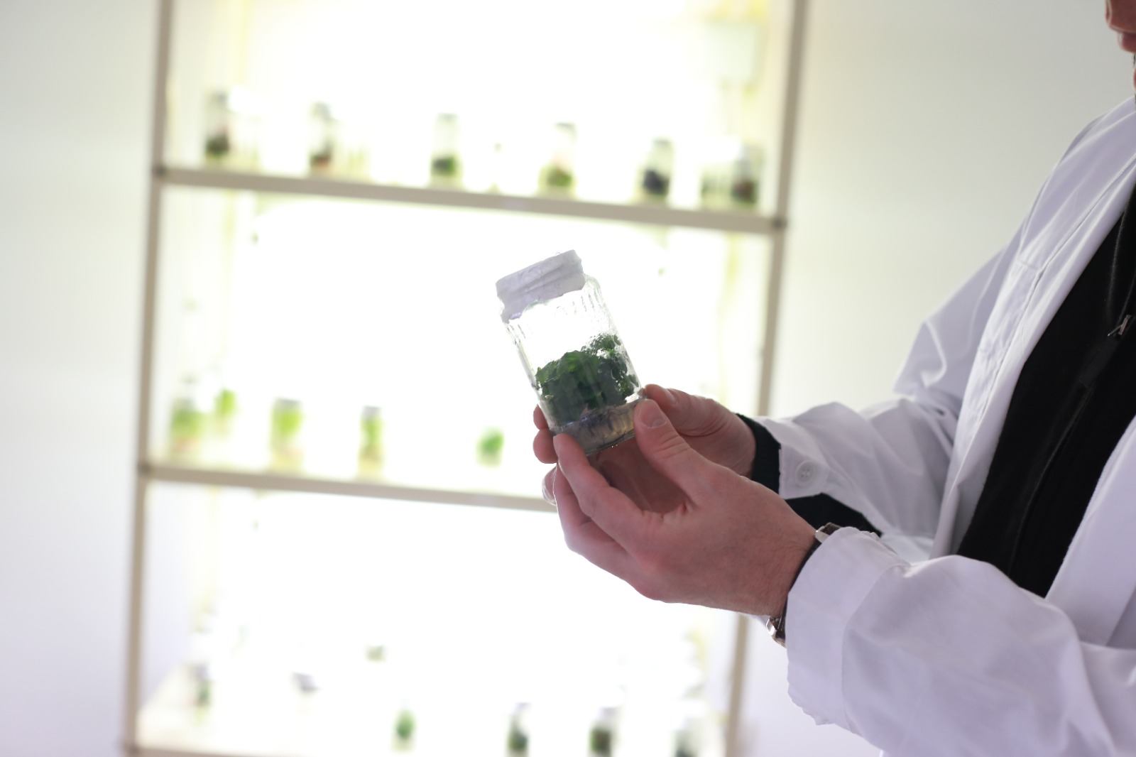 Chronic Desire - Multiplexity (19)