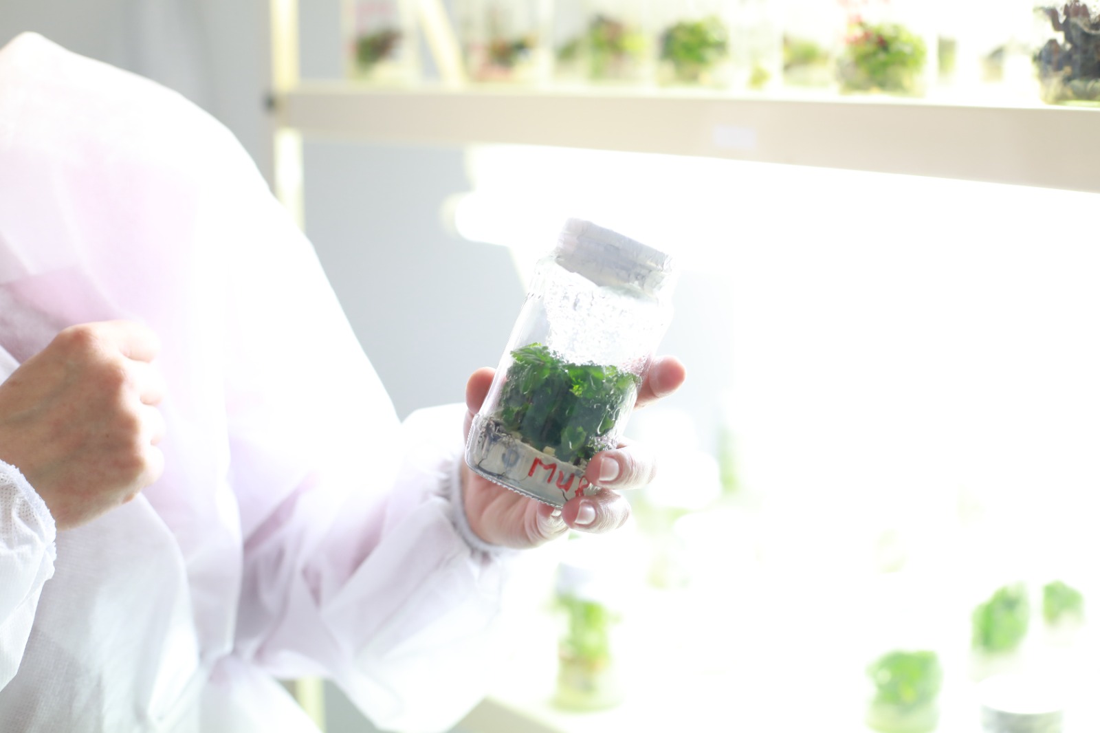 Chronic Desire - Multiplexity (20)